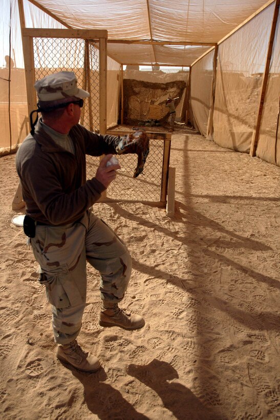Petty Officer 1st Class Daniel Barrassco, 40, pitches to Petty Officer First Class Paul Campagna, 45, from Salem, Mass. inside the new batting cage built by the Seabees at Combat Outpost Ubaydi, Iraq, Dec. 12.  Both sailors are builders with Navy Mobile Construction Battalion 27.  The batting cage gives the Marines and sailors operating within sight of the Syrian border a way to relax when not operating in support of Operation Iraqi Freedom.::r::::n::