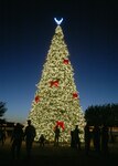 12/2/2008 - The base Christmas tree light up the night outside the Gateway club Dec. 2. (USAF photo by Robbin Cresswell)