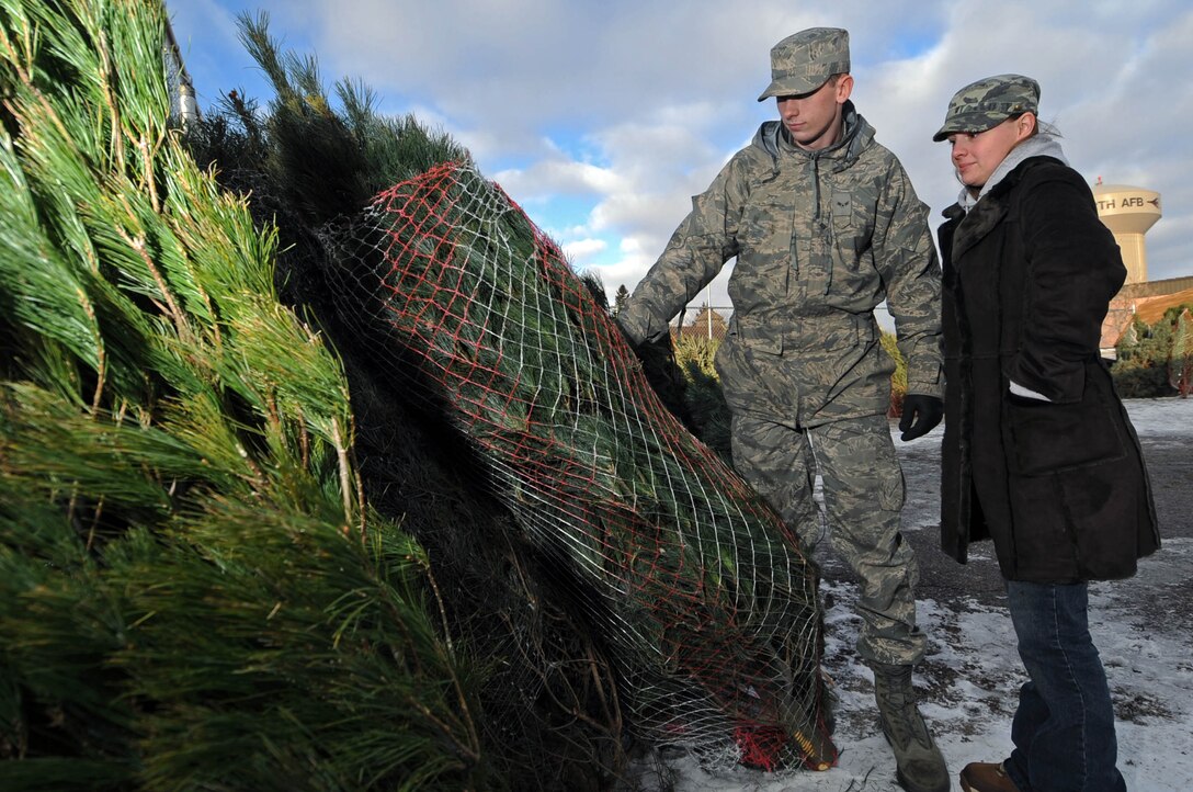Airman 1st Class Andrew Peppin, 28th Aerospace Maintenance Squadron load crew member, and his wife, Heidi, browse through Christmas trees and decide what tree they want from Outdoor Recreation here, Dec. 4. The "Trees for Troops" program, sponsored by the Christmas SPIRIT Foundation and FedEx Corp, donated 290 trees for Ellsworth Airmen and their families. (US Air Force photo/Airman Corey Hook)