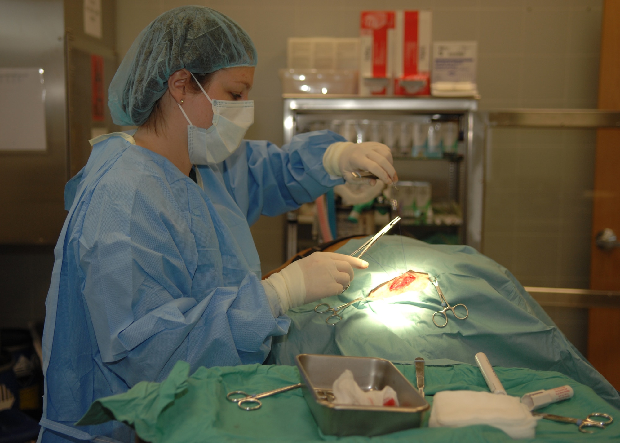 Aviano Veterinary Clinic veterinarian Stephanie Kraft sutures a patient after surgically removing a growth recently. The clinic team averages about 100 appointments a week including roughly eight surgical procedures. (U.S. Air Force photo/Senior Airman Taylor Marr)