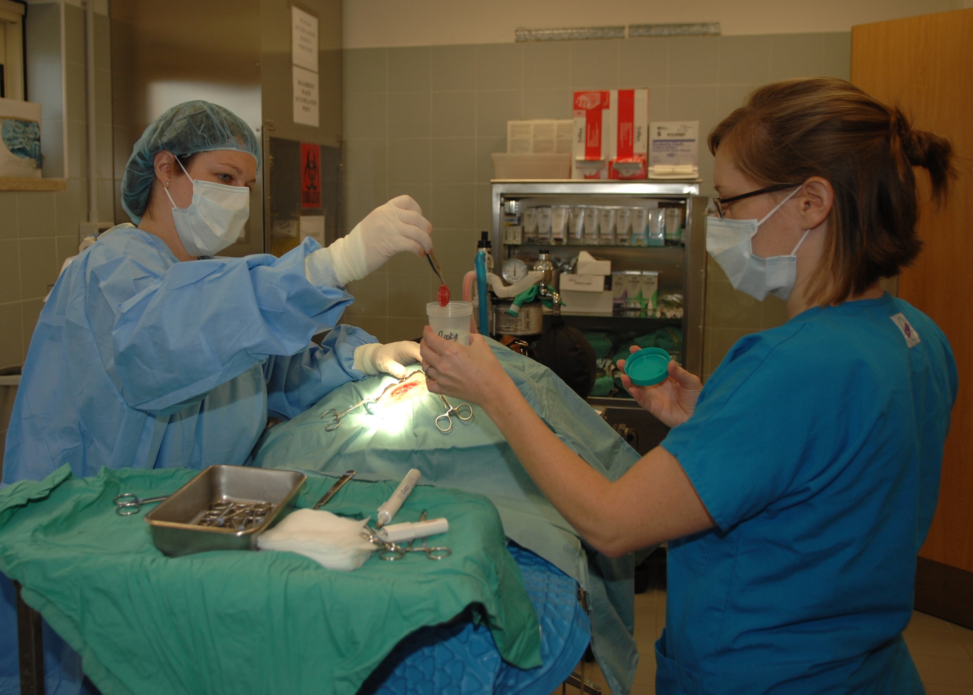 Doctor Stephanie Kraft places a growth removed from a veterinary clinic patient into a test tube. The growth was sent to the lab for further testing to ensure it is benign. The Aviano clinic cares for about 3,000 patients, which include mostly dogs and cats. The staff averages about 100 appointments a week, including roughly eight surgical procedures. (U.S. Air Force photo/Senior Airman Taylor Marr)
