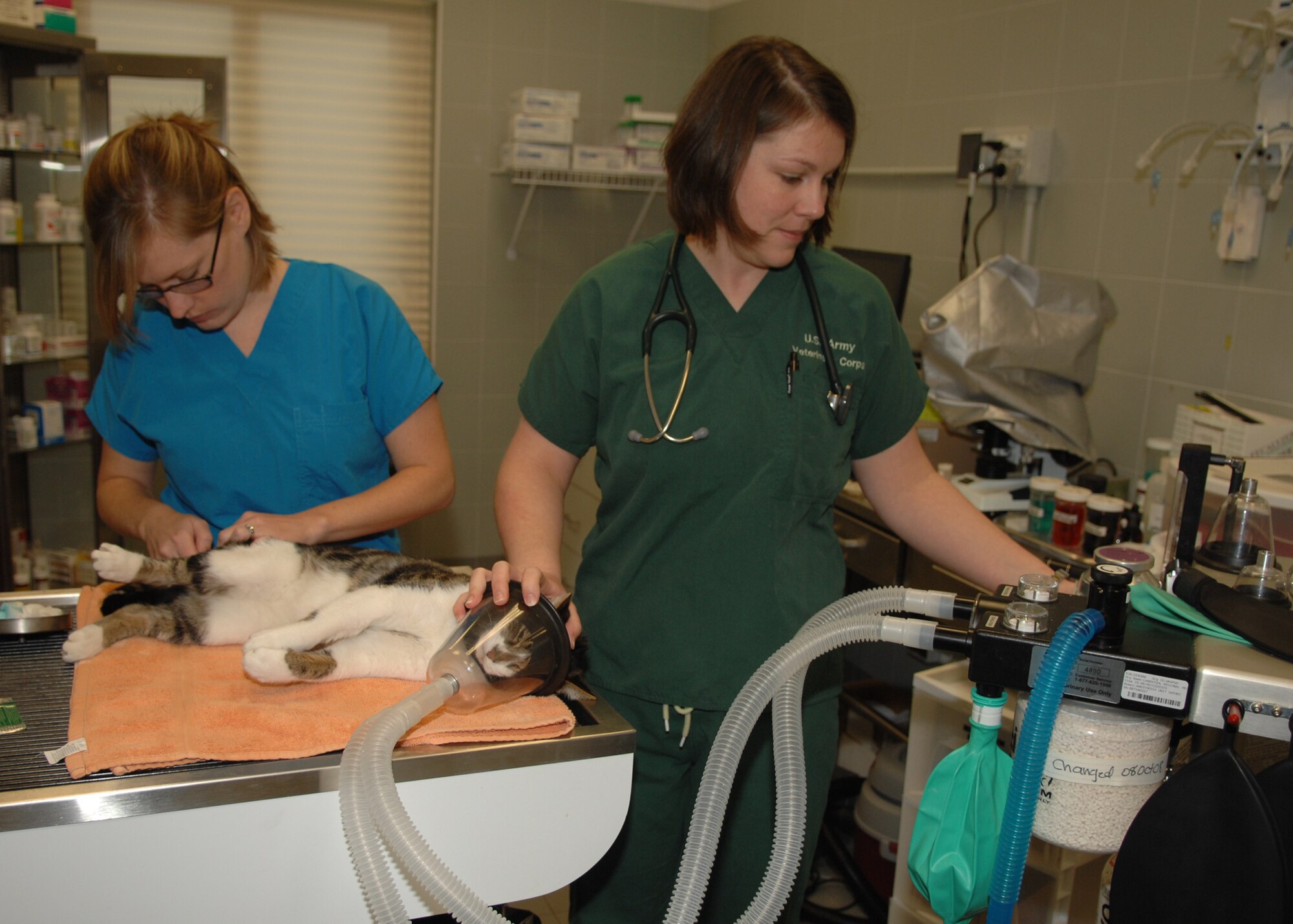 Doctor Stephanie Kraft (right) and veterinary technician Dani Wheeler use local anesthesia to prepare a cat for a neutering procedure at the Aviano Veterinary Clinic recenlty. The clinic team averages about 100 appointments a week including roughly eight surgical procedures. (U.S. Air Force photo/Senior Airman Taylor Marr)