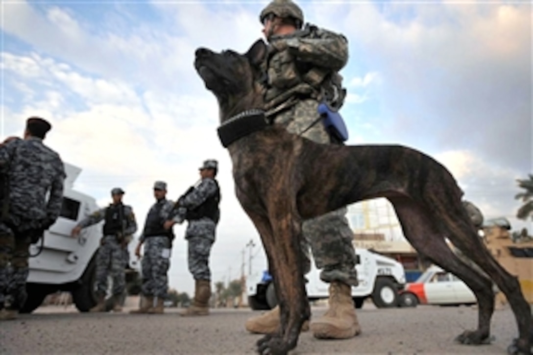 U.S. Army Staff Sgt. Christopher Ogle and his military working dog Liaka, prepare for the day's mission, a joint patrol with Iraqi National Police to search in the Hadar community of southern Baghdad, Iraq, Nov. 29, 2008. Ogle is assigned to the 4th Infantry Division's Company C, 2nd Battalion, 4th Infantry Regiment, 1st Brigade Combat Team, Multinational Division Baghdad.