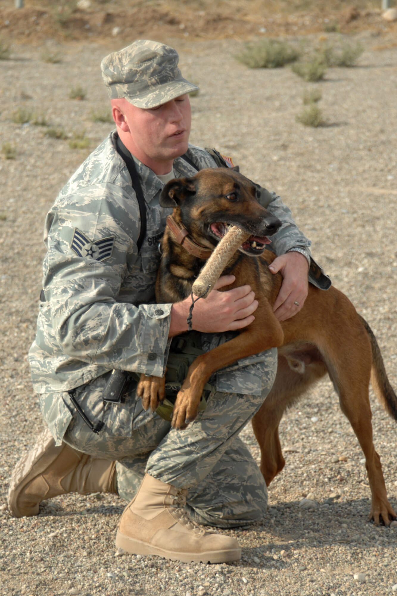 Kirkuk Regional Air Base, Iraq -- Staff Sgt. Robert Starkweather makes some playtime for his partner Diego Nov. 1 at. Diego, a 6-year-old Belgium Malinois is a military working dog. Sergeant Starkweather and Diego are assigned to the 506th Expeditionary Security Forces Squadron, K-9 Unit. They are both deployed from Misawa Air Base, Japan. (U.S. Air Force photo by Tech. Sgt. Jeff Walston)