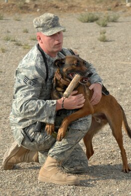 Kirkuk Regional Air Base, Iraq -- Staff Sgt. Robert Starkweather makes some playtime for his partner Diego Nov. 1 at. Diego, a 6-year-old Belgium Malinois is a military working dog. Sergeant Starkweather and Diego are assigned to the 506th Expeditionary Security Forces Squadron, K-9 Unit. They are both deployed from Misawa Air Base, Japan. (U.S. Air Force photo by Tech. Sgt. Jeff Walston)