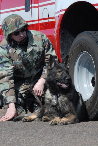 Senior Airman Caleb Snapp and his K-9 partner, Fritz, take cover beside a Malmstrom fire department vehiclewhile waiting for a call to assist during an exercise shooting scenario at the base clinic March 28. The duo is assigned to the 341st Security Forces Squadron. (U.S. Air Force photo/John Turner)
