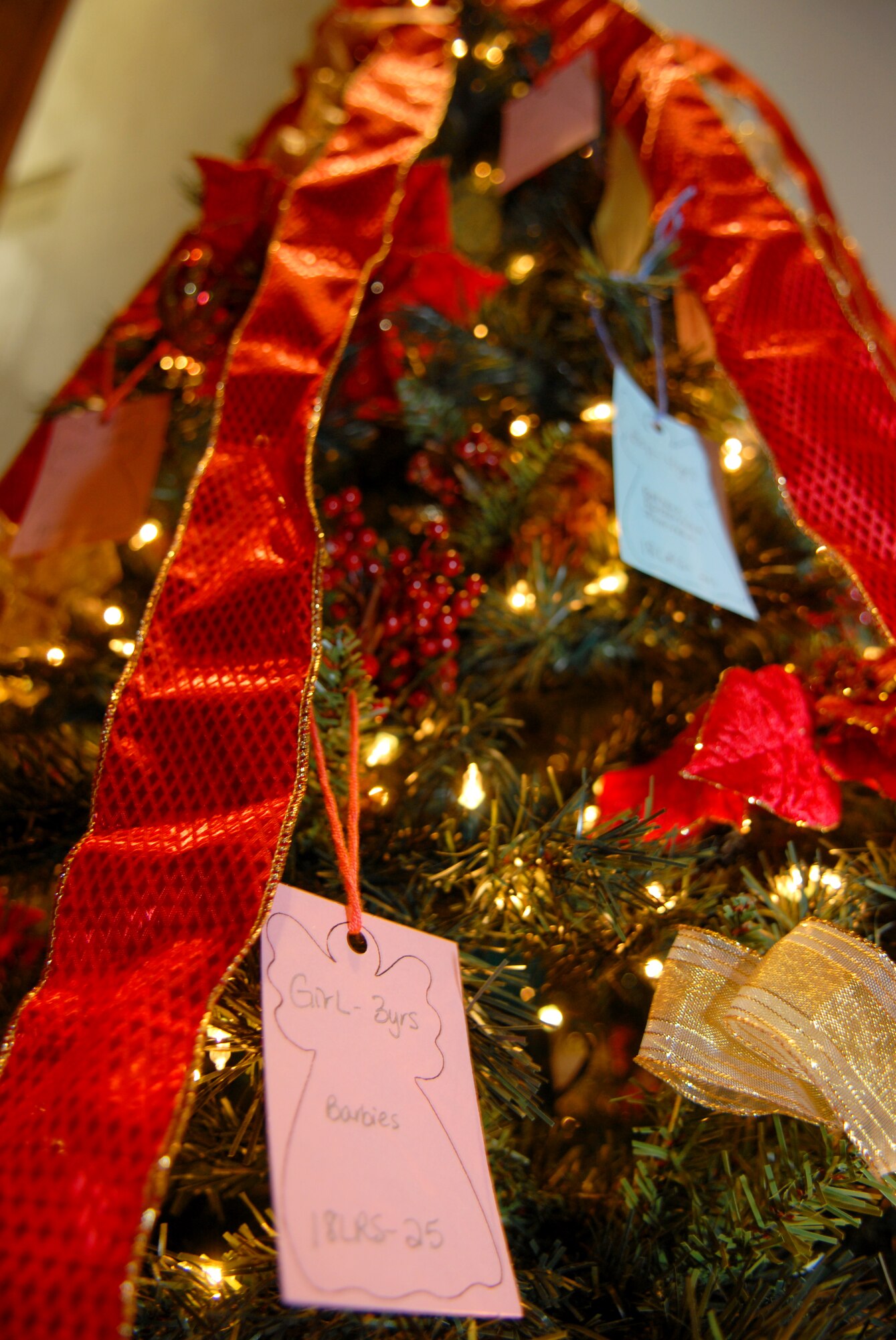 The Angel Tree program offers the opportunity for people in the community to give gifts to financially struggling military families during the holidays. The program is run by the Kadena chapel staff and provides gifts to 150-300 needy children every year.
(U.S. Air Force photo/Staff Sgt. Angelique Perez)