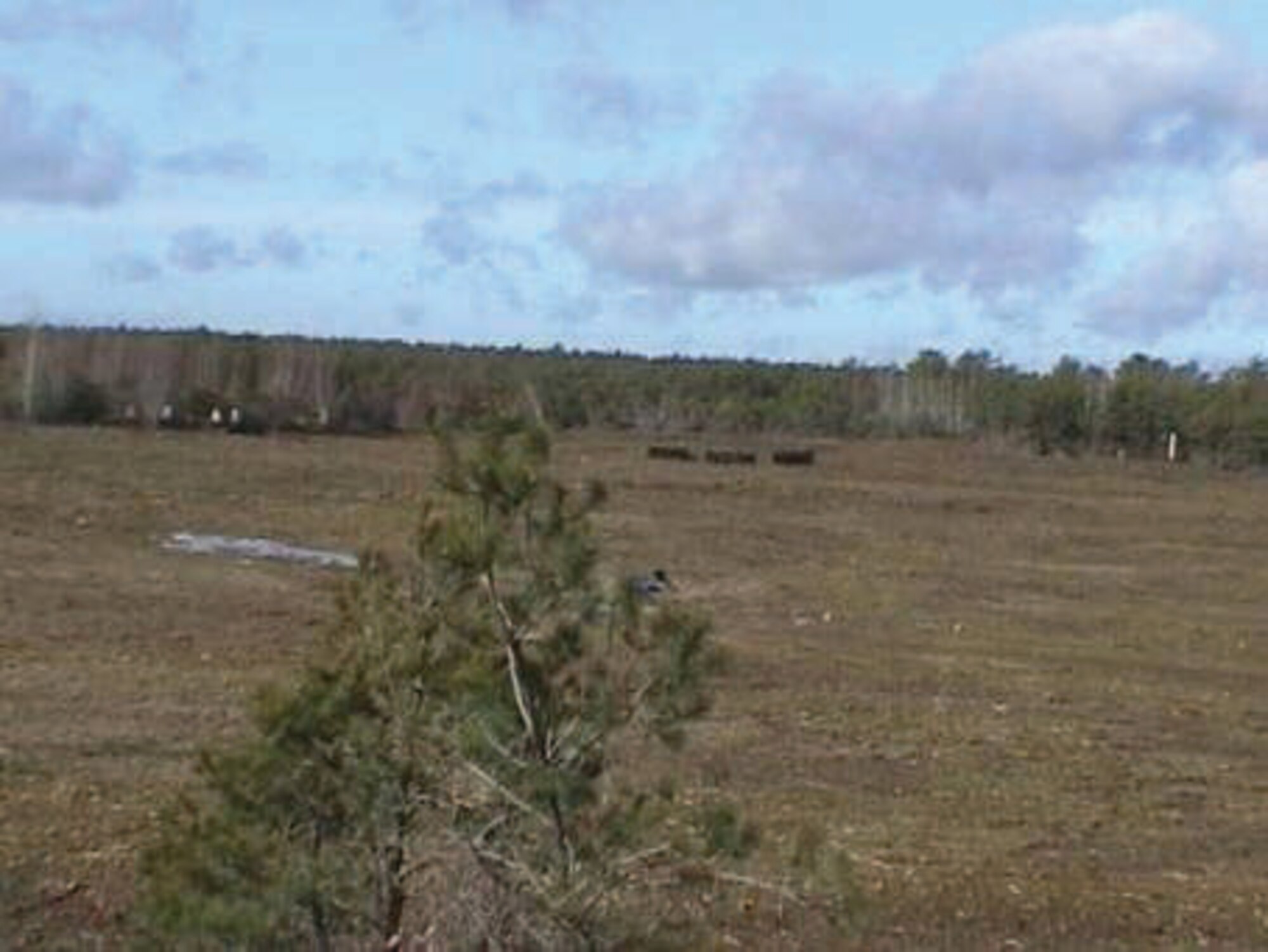 Massachusetts Military Reserve after completion of range clearance operation. (U.S. Air Force photo)