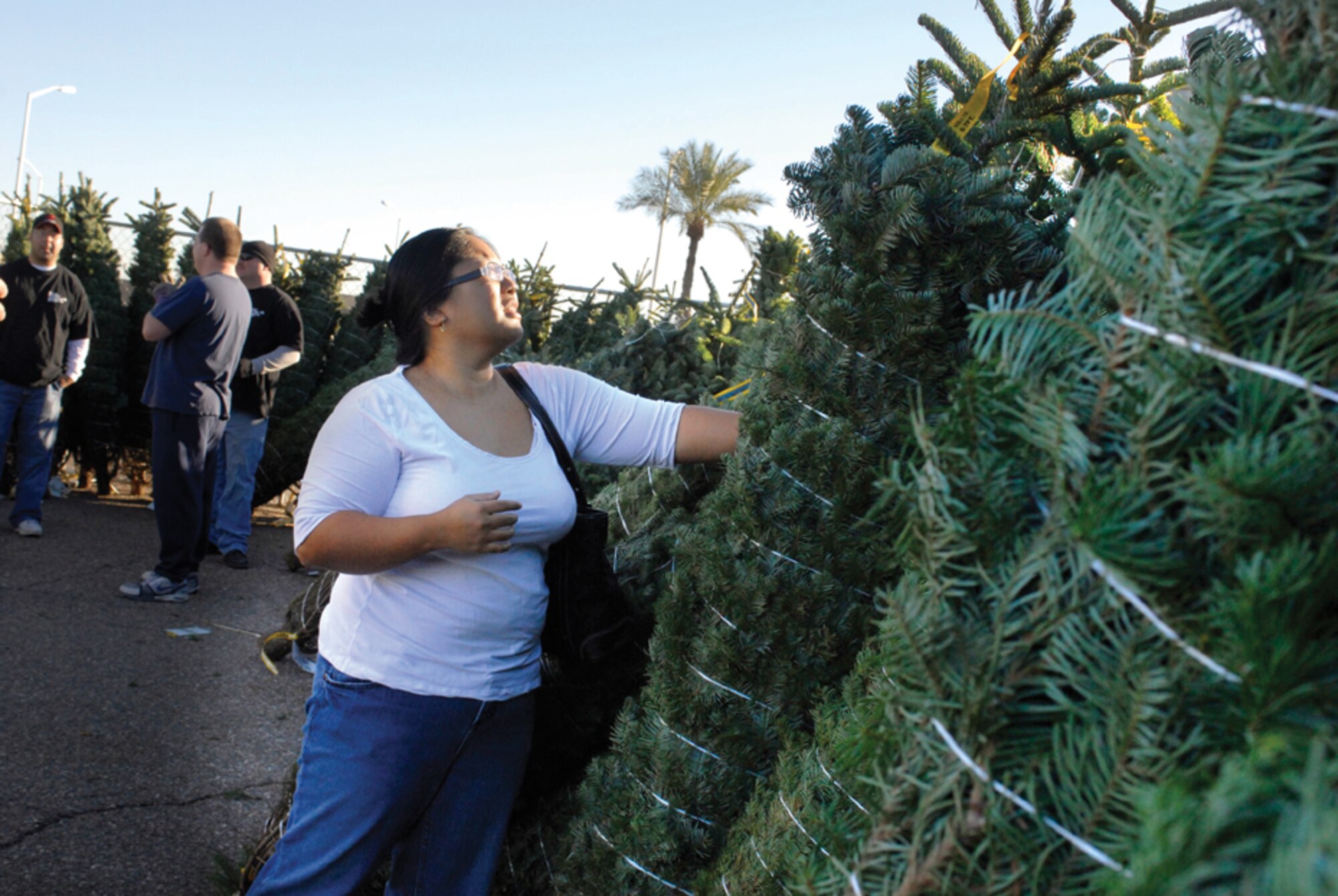 Michelle Rivera looks for the perfect tree for her and her family, Dec. 6, at the free Christmas tree give-a-way, headed by the 56th Services Squadron and sponsored by the Christmas SPIRIT Foundation and Trees for Troops program. More than 450 Christmas trees were given away at the event. "We wanted to get a fresh tree and this will be the first time in ten years we get one," said Mrs. Rivera. "Both of the kids are really excited!"