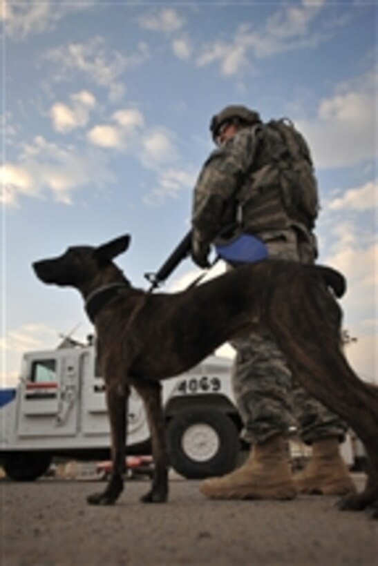 U.S. Army Staff Sgt. Christopher Ogle and Liaka, a military working dog, prepare for the day's mission, a joint search and patrol conducted by U.S. soldiers and the Iraqi National Police in the Hadar community of Baghdad, Iraq, on Nov. 29, 2008.  