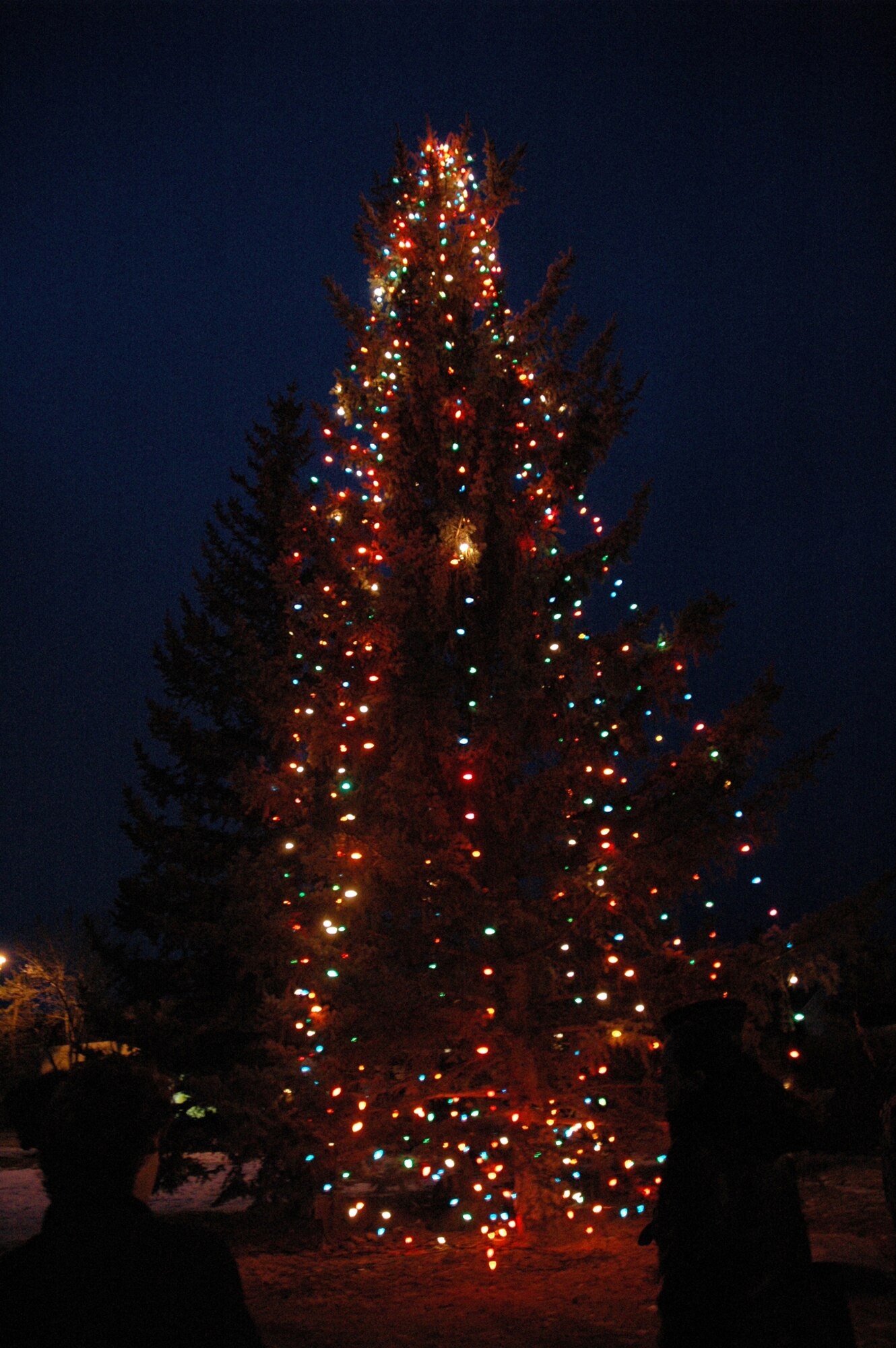 The base holiday tree is all aglow after the formal tree lighting ceremony at the Grizzly Bend Club Dec. 5. (U.S. Air Force photo/Senior Airman Emerald Ralston)