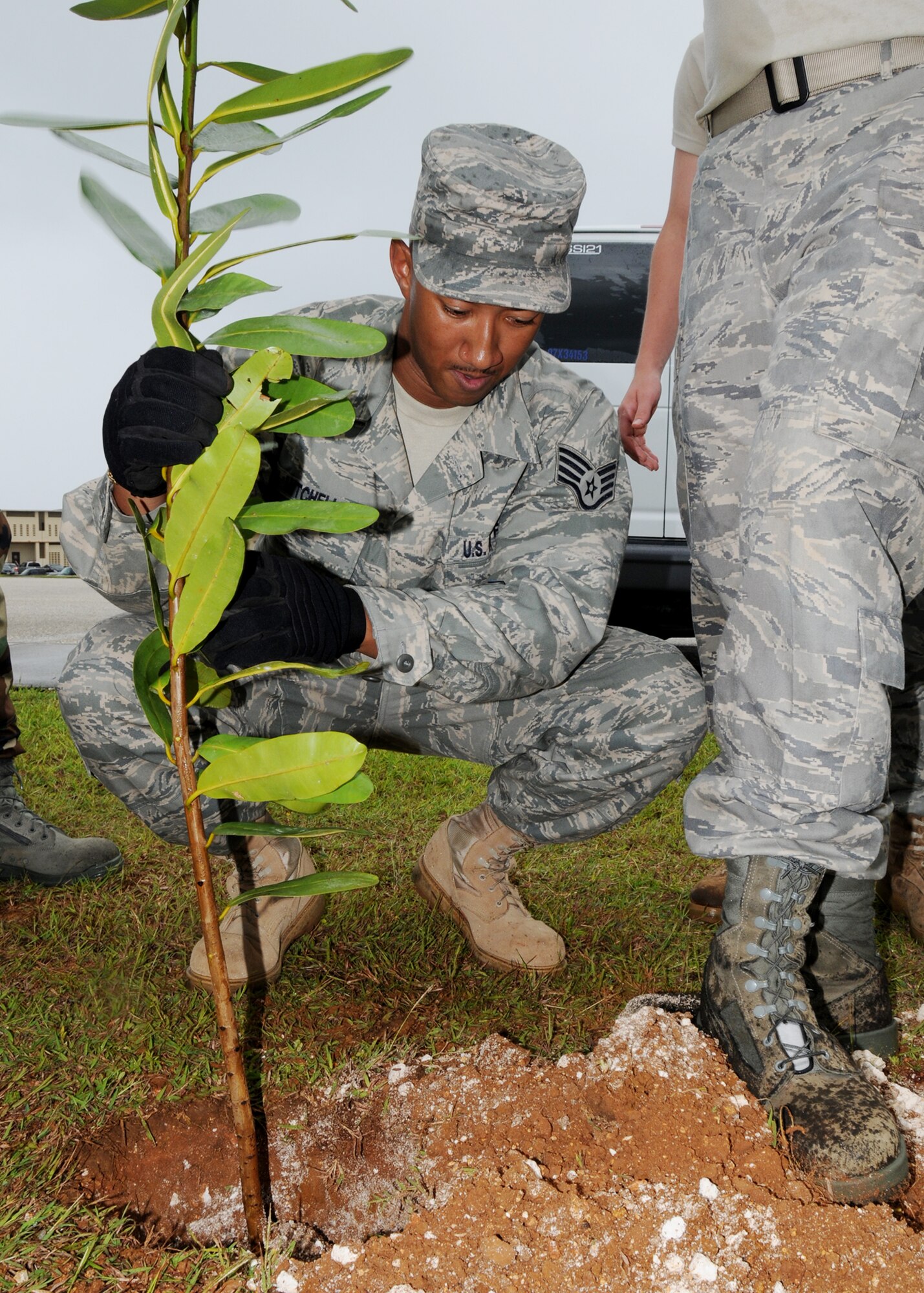 ANDERSEN AIR FORCE BASE, Guam -Staff Sgt. Curt Mitchell plants a tree donated by the 36th Civil Engineer Squadron at the First Term Airmen's Center here Dec. 11. Sergeant Mitchell and the FTAC Airmen planted two trees in efforts to help beautify Andersen. (U.S. Air Force photo by Senior Airman Nichelle Griffiths)