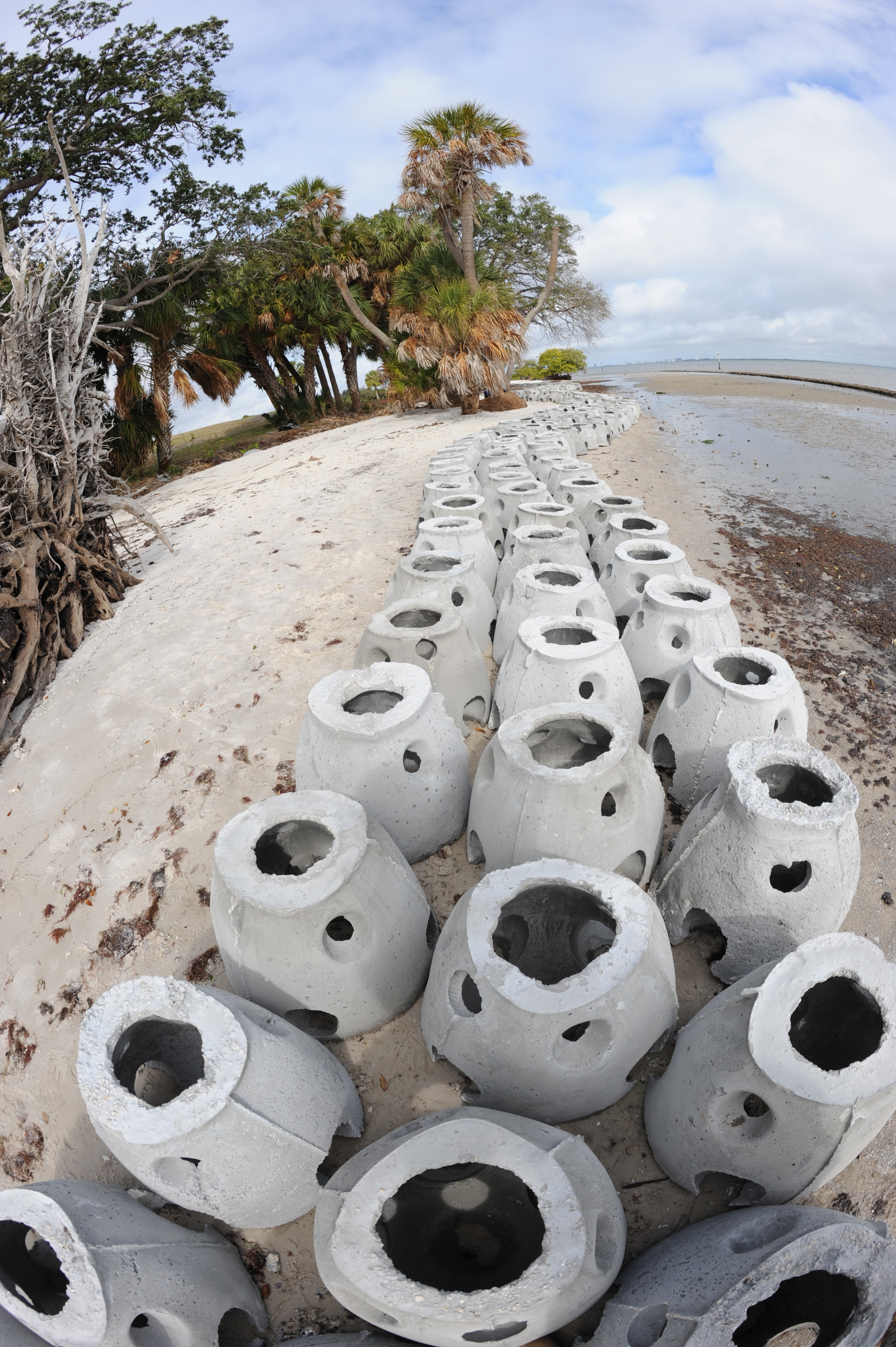 MacDill Oyster Reef Project > MacDill Air Force Base > Article Display