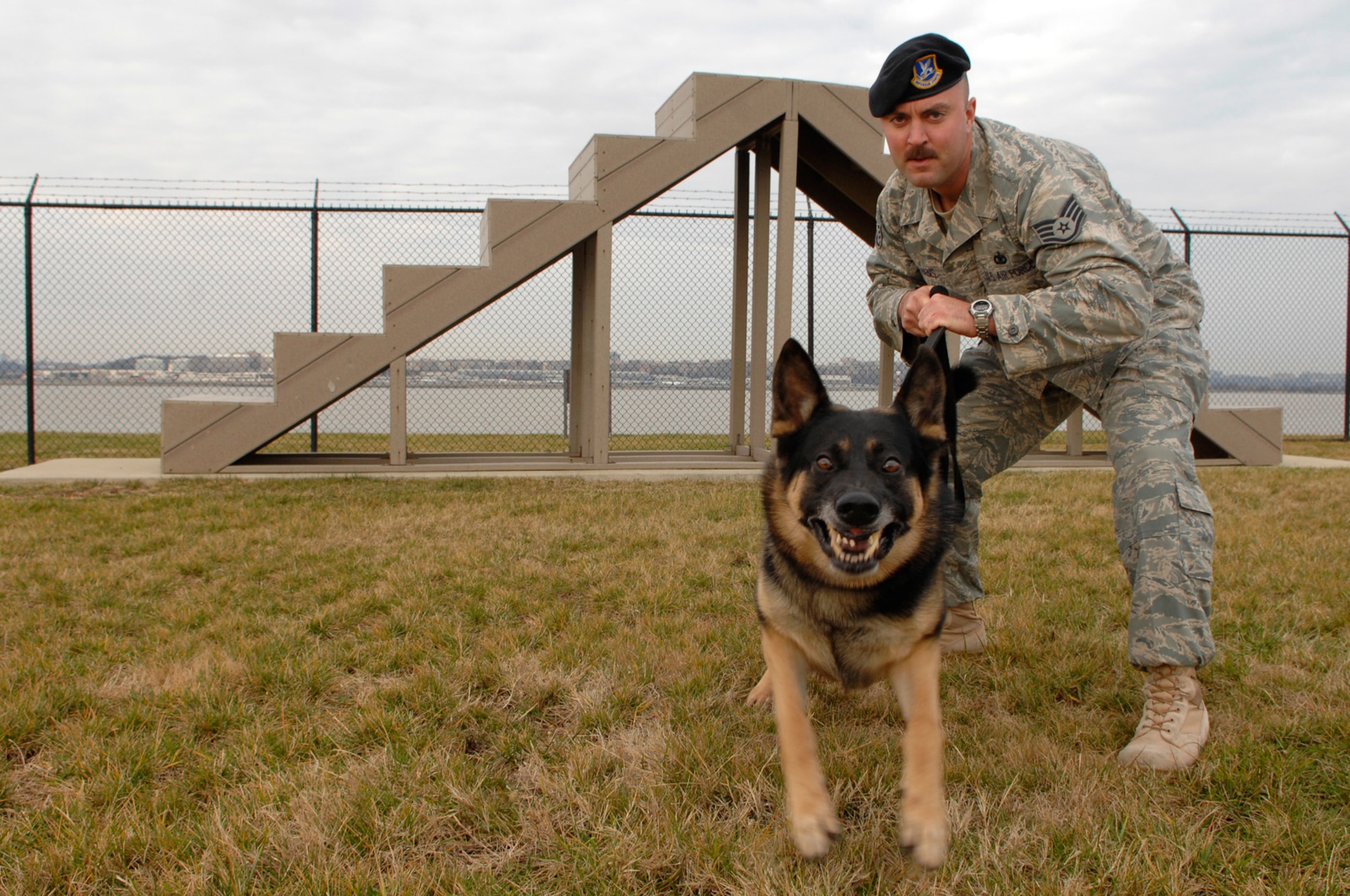 Staff Sgt. Timothy Evans, 11th Security Forces Squadron, poses with his dog Timi, a 5-year-old dual-purpose explosive detection German Shepherd, Dec.15 at the 11th SFS training facility on Bolling. Sergeant Evans and Timi were deployed for six months to Iraq with the Army’s 101st Airborne Division. (U.S. Air Force photo by Senior Airman Tim Chacon)