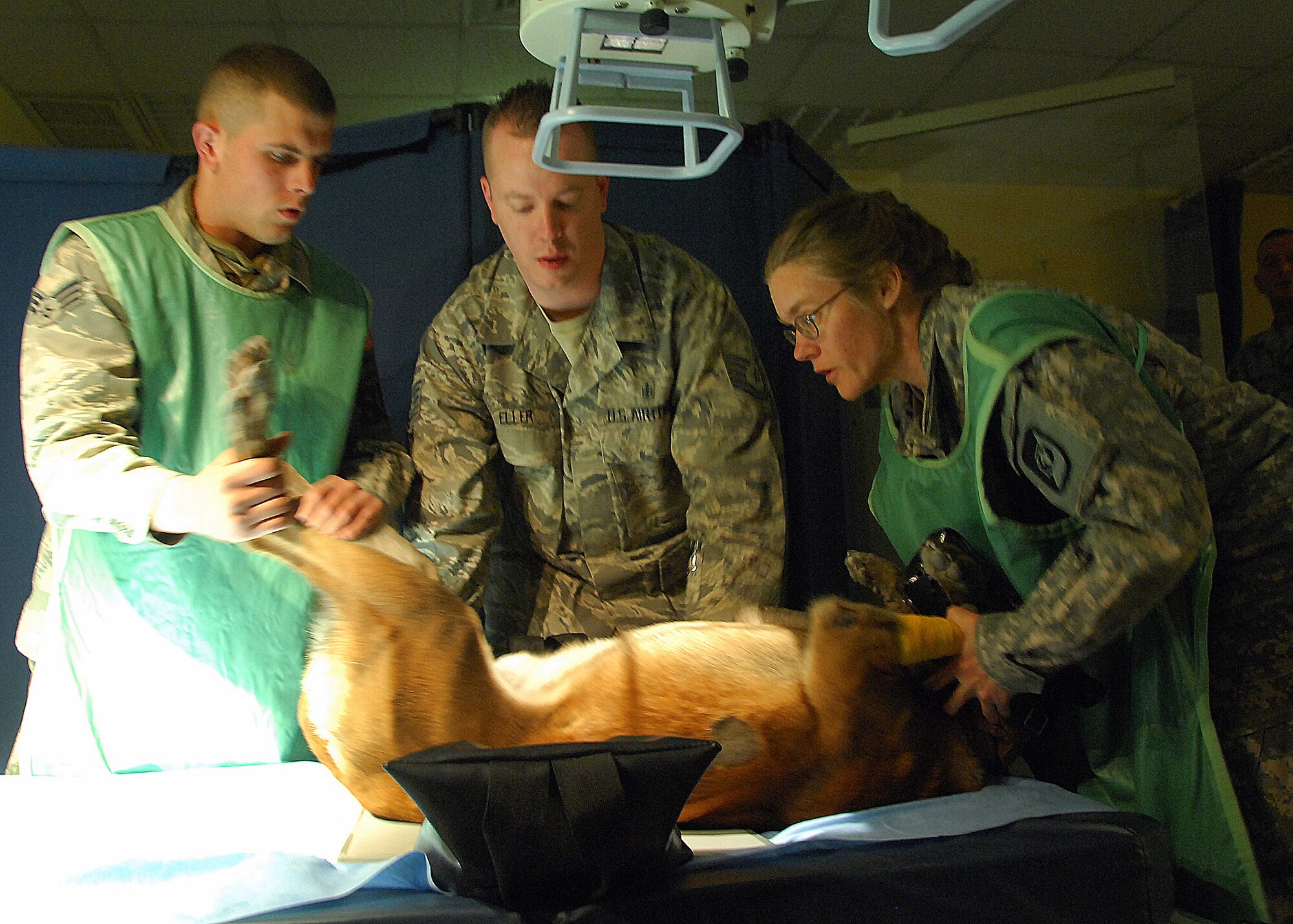 Senior Airman Daren Marshall (left to right), Tech. Sgt. Jeffrey Eller and Army Capt. Elizabeth Williams help align military working dog Zack on a table before receiving a chest X-ray Dec. 13 at an air base in Southwest Asia. Zack received an X-ray to see how his pneumonia has cleared since his last visit. Captain Williams is a 218th Medical Detachment Veterinarian. Sergeant Eller is an X-ray technician assigned to the 386th Expeditionary Medical Group and is deployed from Wright-Patterson Air Force Base, Ohio. Airman Marshall is a military dog handler assigned to the 386th Expeditionary Security Forces Squadron and is deployed from F.E. Warren AFB, Wyo. (U.S. Air Force photo/Tech. Sgt. Raheem Moore) 
