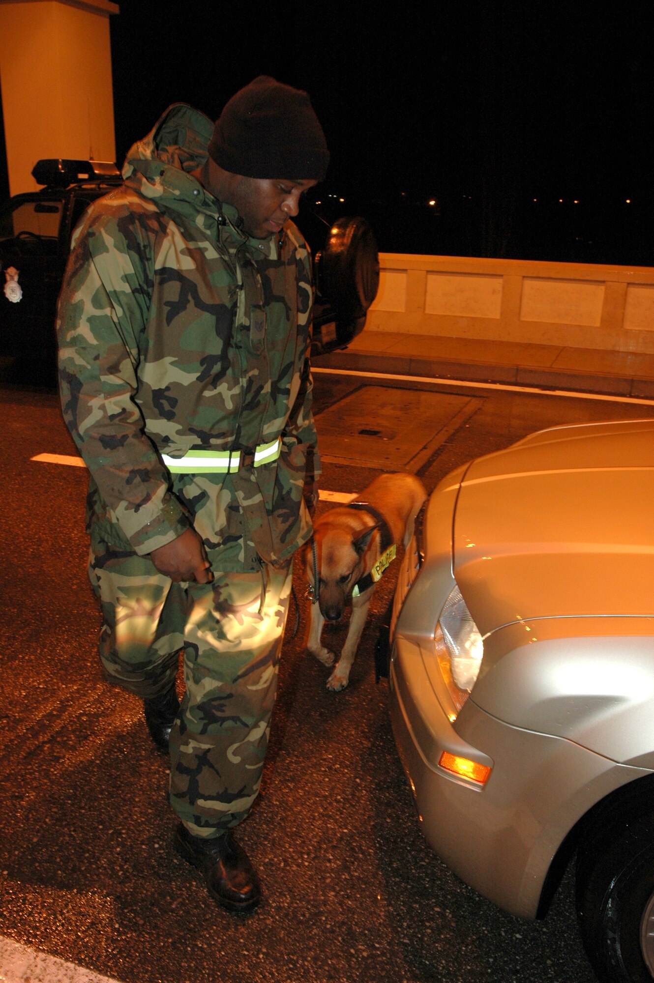 Staff Sgt. Charleston Calhoun of the 31st Security Forces Squadron and his partner Arco, conduct a random antiterrorism measure check at the main gate Dec. 16. The base conducted more than 3,200 RAMs this past year, which is just one aspect of the base's antiterrorism program. (U.S. Air Force photo/Staff Sgt. Lindsey Maurice)