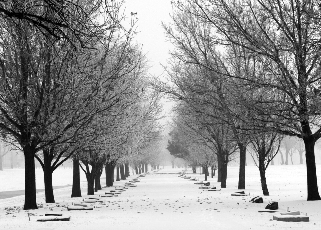 A freezing fog gives an icy coat to lines of trees at McConnell Air Force Base, Kan., Thursday morning. Freezing rain and dense fog was forecasted through midday. (U.S. Air Force photo/Tech. Sgt. Jason Schaap)