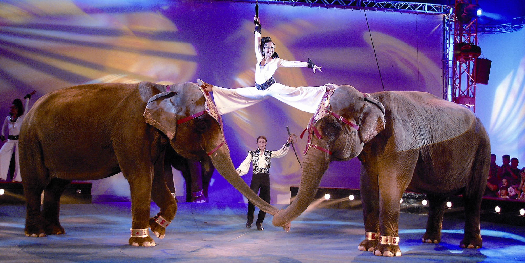 One of the featured acts for the Trier Christmas Cirus is Elvis Errani, who makes his
Indian elephants perform outstanding acts just by whispering to them. Other acts
include the “Chongqing” Ensemble of the Chinese State circus performing some
world-famous acrobatics and Daliah Laurant with her trained Dalmatian and Great
Dane dogs.
