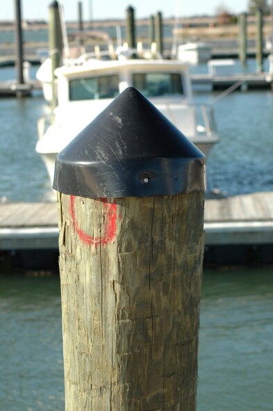 Pointy cone devices are placed on poles near the airfield, also to prevent birds from perching or roosting. (U.S. Air Force Photo)