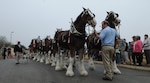Friends, families and members of Team Randolph gathered at the base exchange Dec. 18 to catch a glimpse of the famous Clydesdale horses used for promotions and commercials by the Anheuser-Busch Brewing Company. (Photo by Rich McFadden)