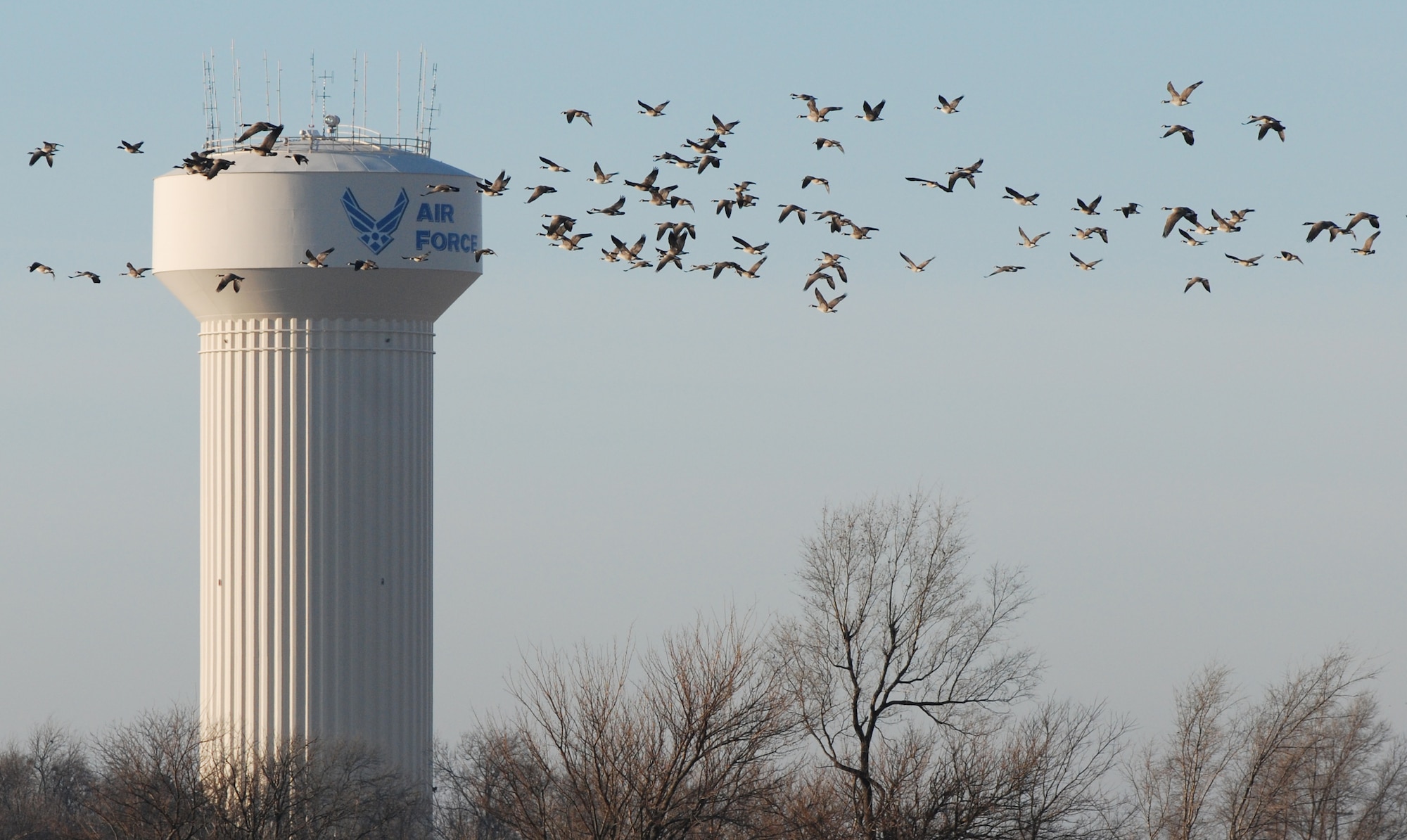 Thousands of migratory birds fly through McConnell’s air space each year, posing the threat of damaging aircraft and risking the safety of aircrew. (Photo by Airman 1st Class Jessica Lockoski)
