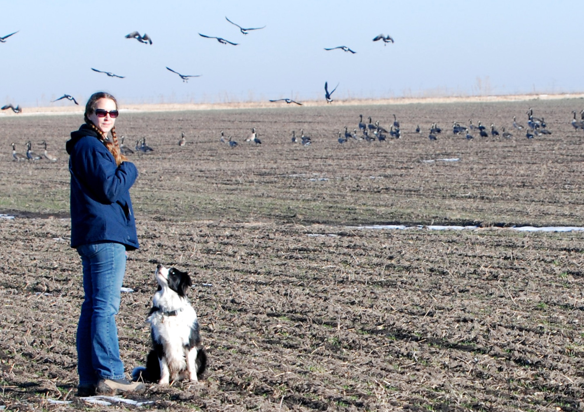 Lauren Caister, a wildlife manager under the Birdstrike Control Program, and Jet, McConnell’s bird strike control dog, scour areas within a five-mile radius of McConnell for flocks of birds that endanger aircraft in the local airspace. (Photo by Airman 1st Class Jessica Lockoski)
