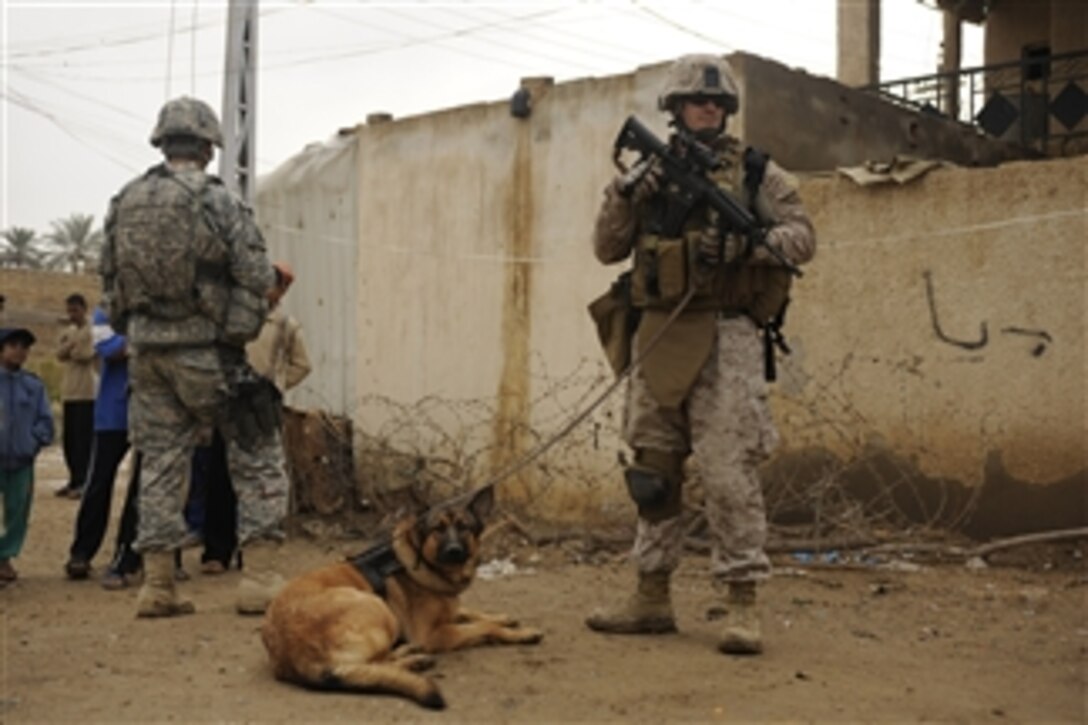 U.S. Marine Corps Staff Sgt. Chris Willingham (right) assigned to 2nd Brigade Combat Team, 4th Infantry Division and his military working dog, Lucca, provide security in Afak, Iraq, during a cordon and knock operation on Nov. 30, 2008.  