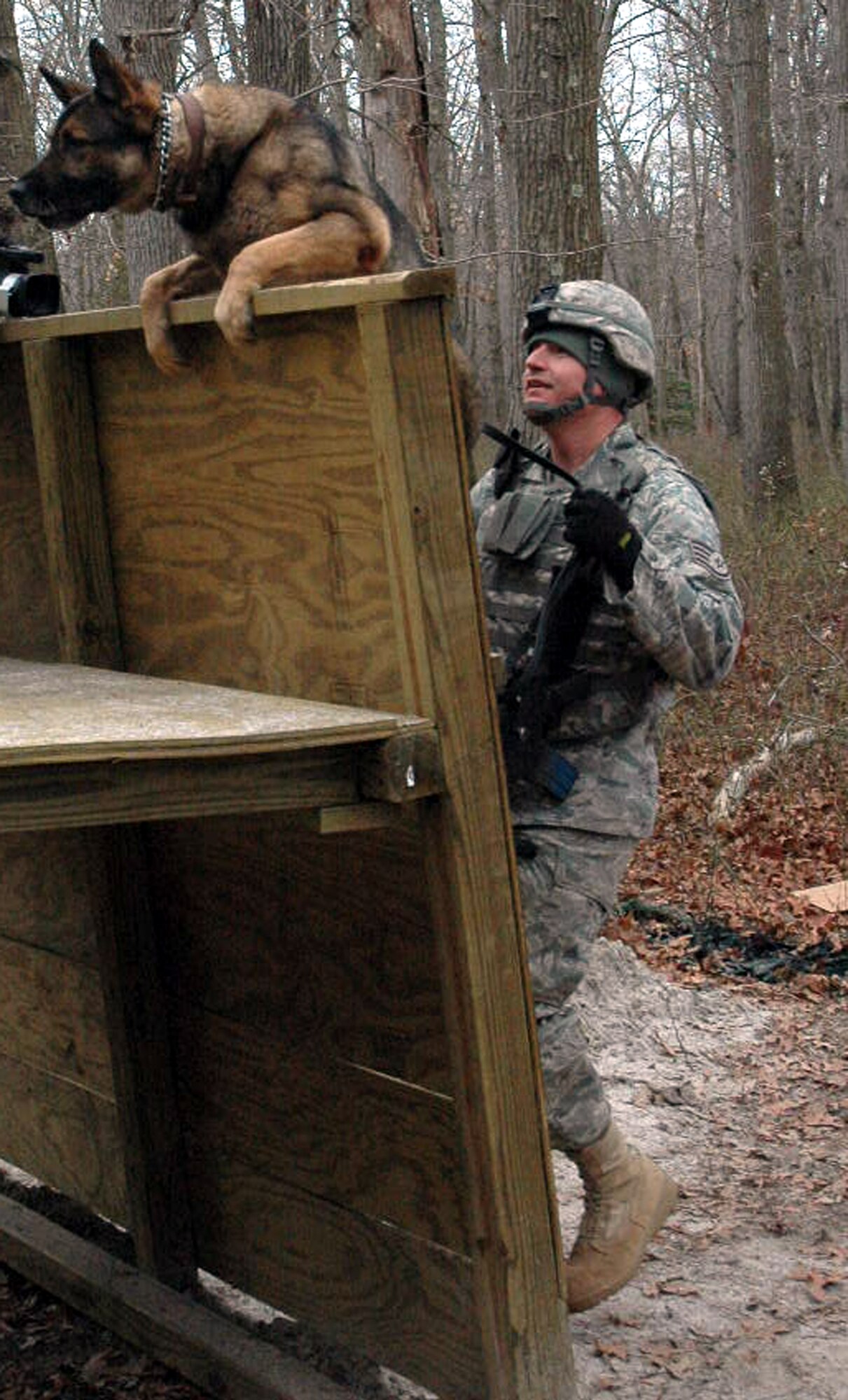 Staff Sgt. Jason Hanisko and his military working dog Arek, both students in the U.S. Air Force Expeditionary Center's Phoenix Warrior Training Course 08-2 K-9 track, practice jumping a six-foot wall while training on a range on Fort Dix, N.J., Jan. 22, 2008.  Sergeant Hanisko and Arek are from the 75th Security Forces Squadron at Hill Air Force Base, Utah.  (U.S. Air Force Photo/Tech. Sgt. Scott T. Sturkol)
