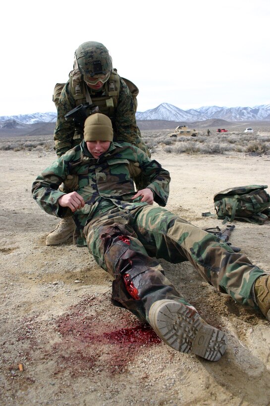 Seaman Jimmy Guidry, a U.S. Navy corpsman with Embedded Trainer Team 5-3, moves an injured role-player to a safer location during a casualty evacuation training scenario in Hawthorne, Nev., Feb. 2, 2008.  U.S. Marines and sailors with Embedded Trainer Teams, all serving with 3rd Marine Division, executed a training lane aboard U.S. Army training grounds surrounding Hawthorn Army Depot that involved mass casualty evacuation, immediate action to improvised explosive devices and ambush counterattacks.  The training lane is part of a pre-deployment package dubbed Mountain Viper.  ETT 5-3 are preparing for an upcoming deployment to Afghanistan where they?ll be tasked with mentoring, monitoring and advising Afghan army units to become a self-capable military force.  (U.S. Marine Corps photo by Lance Cpl. Uriel De Luna-Felix)