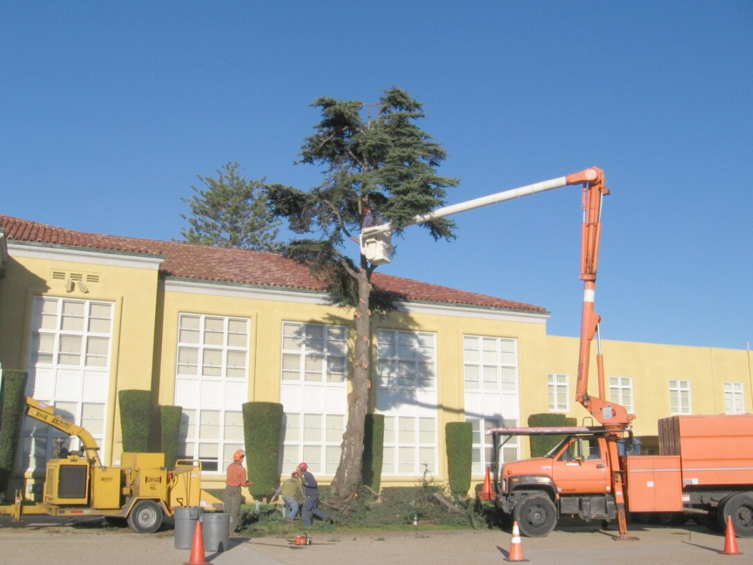 In an effort to conserve water, some trees were removed from the back of Pendleton Hall, the commanding general’s building, and the grass was replaced with artificial turf. This will save 357 gallons of water per year.