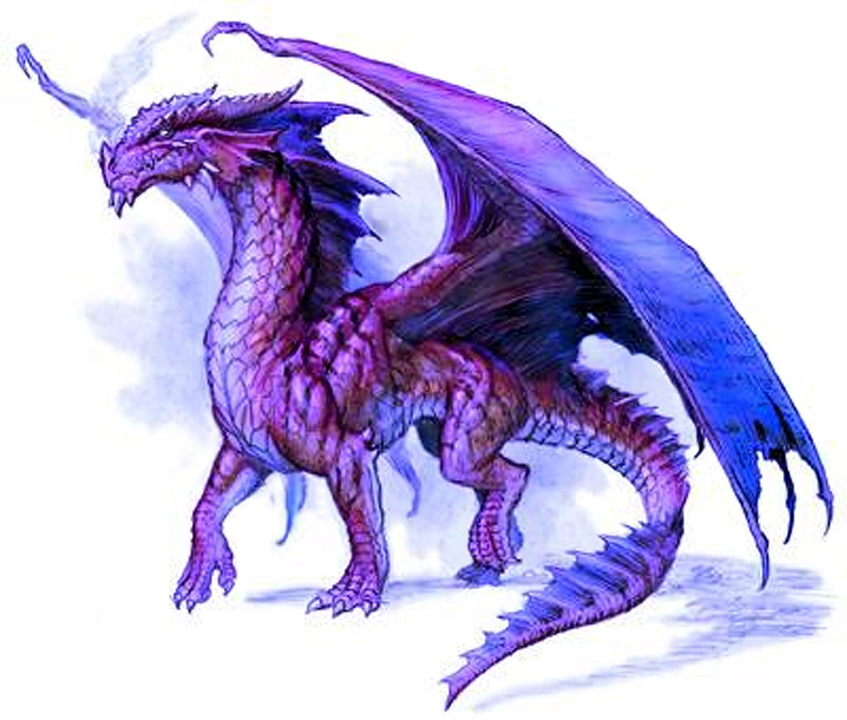 Opsec purple dragon