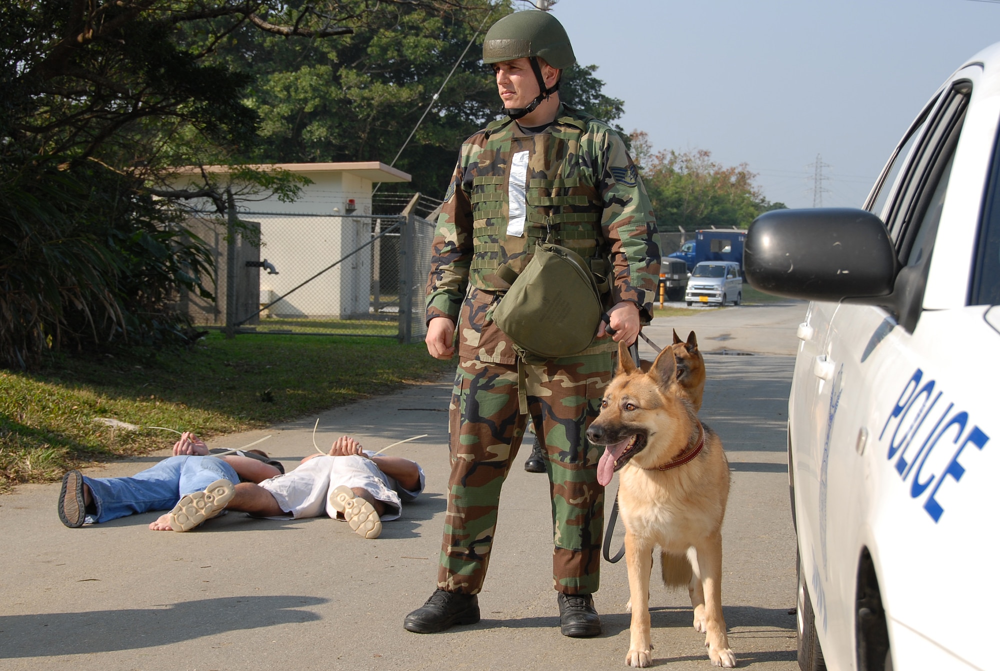 Staff Sgt. John Grice, 18th Security Forces Squadron dog handler, responds to a simulated protest with his canine during Local Operational Readiness Exercise Beverly High 08-3 at Kadena Air Base, Japan, Jan. 7, 2007. Chemical environment scenarios present unique challenges for Military Working Dogs. (U.S. Air Force photo/Tech Sgt. Anthony Iusi)