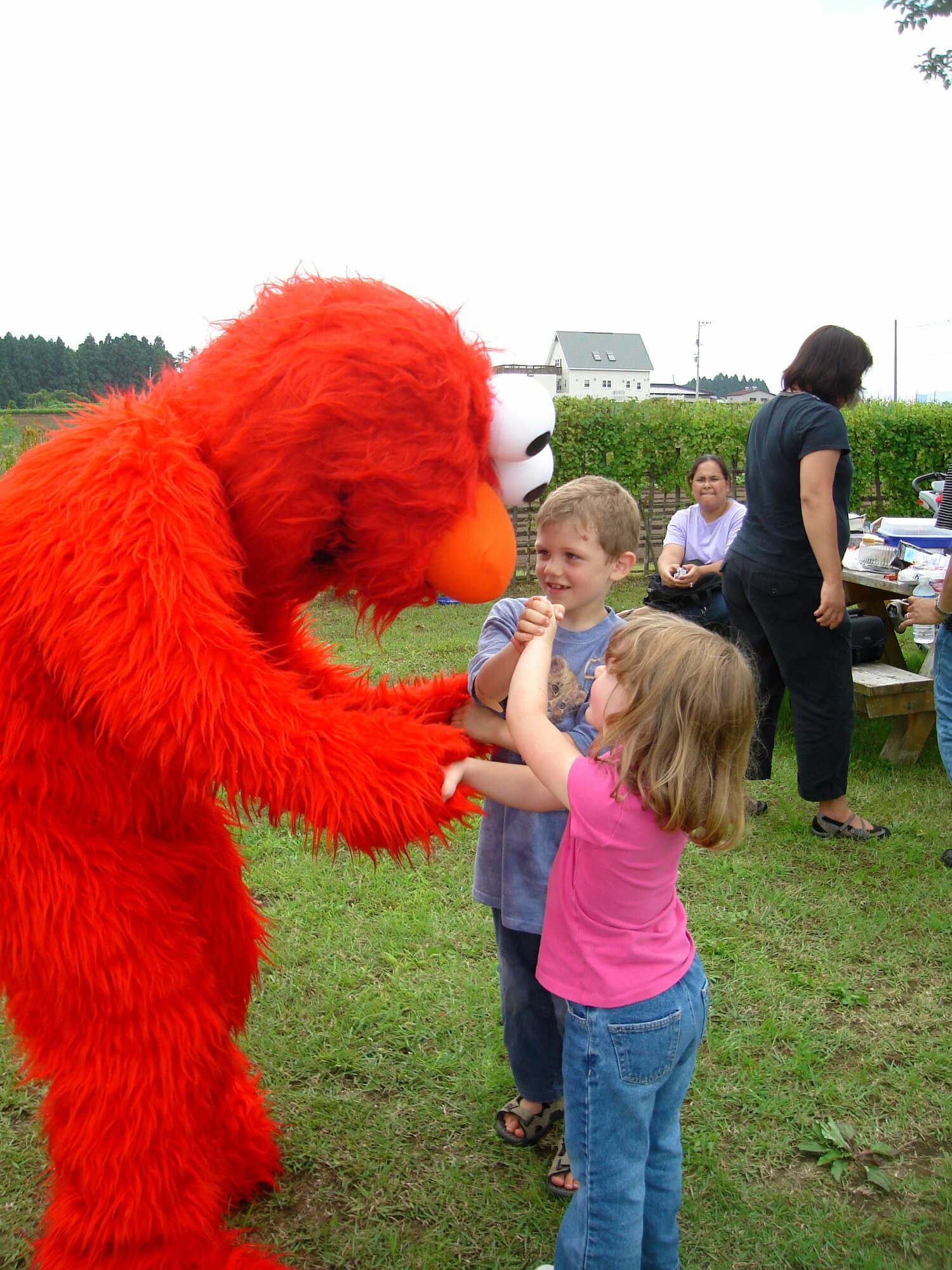 MISAWA AIR BASE, Japan -- Mattheus and Kiersten Schrawyer greet Sesame Street's Elmo during a July picnic social at one of the campsites at Lake Ogawara. The social was held for members of the support group for parents with children with special needs. (Courtesy photo)