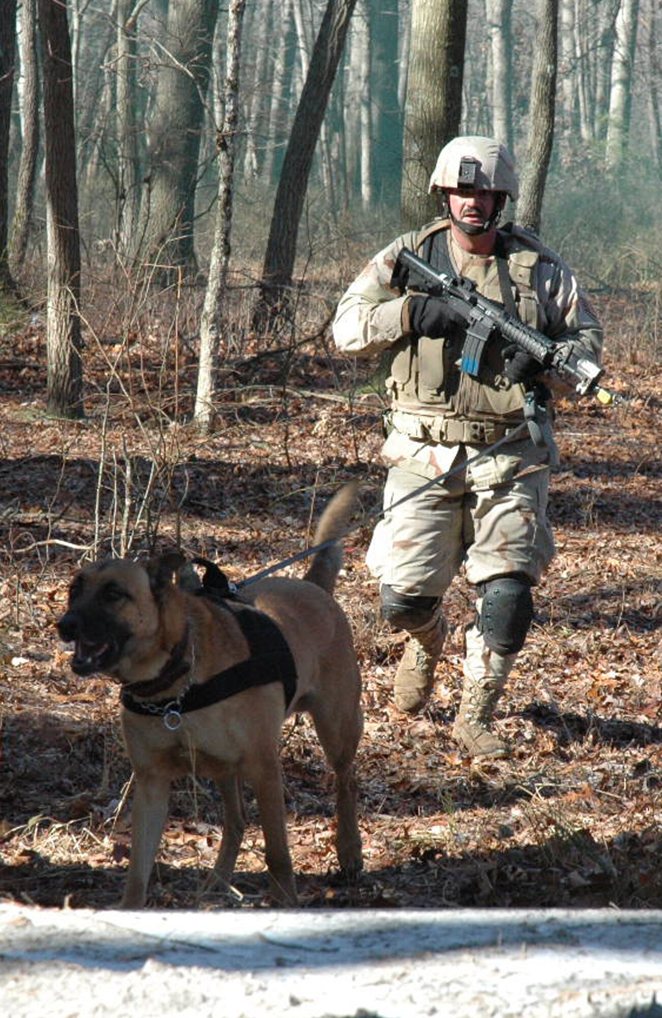 Staff Sgt. Robert Lewis and his military working dog  participate in an obstacle course on a range on Fort Dix, N.J., Feb. 14, 2008, as part of training as students in the Air Force Phoenix Warrior Course 08-3 K-9 track.  The course is taught by the U.S. Air Force Expeditionary Center's Expeditionary Operations School and 421st Combat Training Squadron and prepares security forces for upcoming deployments.  Sergeant Lewis and Rex are from the 6th Security Forces Squadron at MacDill Air Force Base, Fla.  (U.S. Air Force Photo/Tech. Sgt. Scott T. Sturkol)