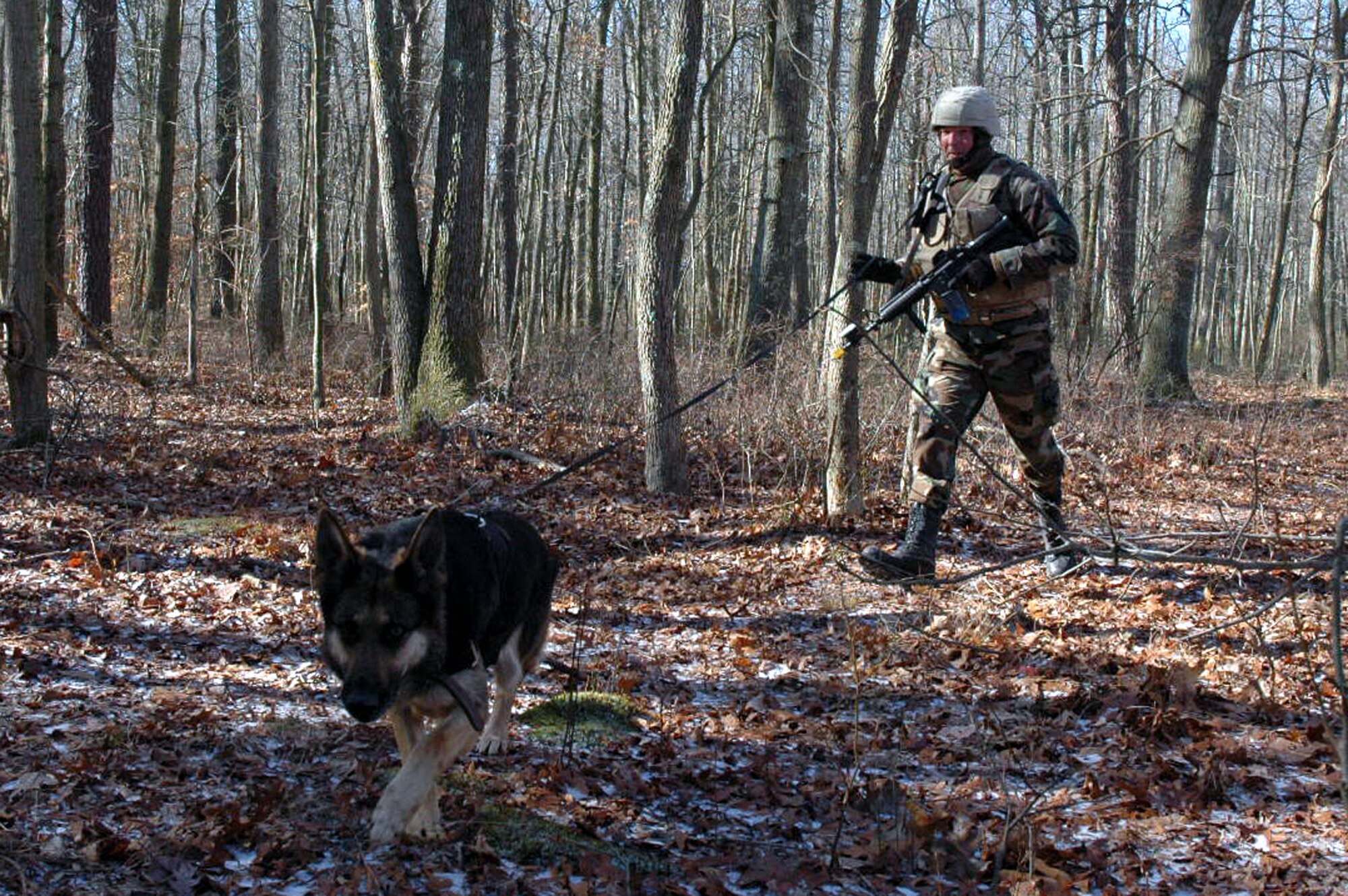 Staff Sgt. Christopher Dion and his military working dog Dena participate in an obstacle course on a range on Fort Dix, N.J., Feb. 14 as part of training as students in the Air Force Phoenix Warrior Course 08-3 K-9 track.  The course is taught by the U.S. Air Force Expeditionary Center's Expeditionary Operations School and 421st Combat Training Squadron and prepares security forces for upcoming deployments.  Sergeant Dion and Dena are from the 6th Security Forces Squadron at MacDill Air Force Base, Fla.  (U.S. Air Force Photo/Tech. Sgt. Scott T. Sturkol)
