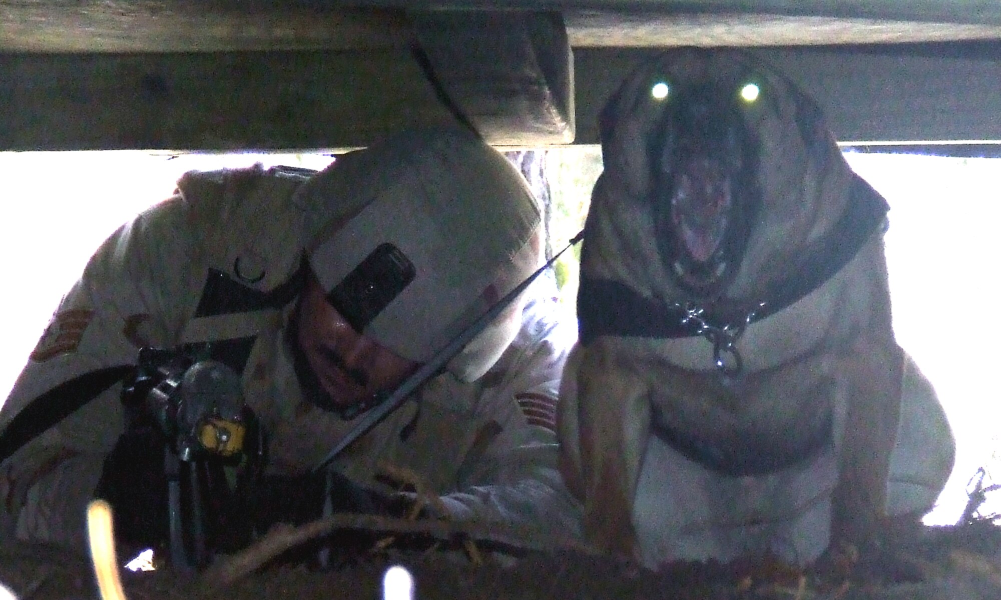 Staff Sgt. Robert Lewis and his military working dog  participate in an obstacle course on a range on Fort Dix, N.J., Feb. 14 as part of training as students in the Air Force Phoenix Warrior Course 08-3 K-9 track.  The course is taught by the U.S. Air Force Expeditionary Center's Expeditionary Operations School and 421st Combat Training Squadron and prepares security forces for upcoming deployments.  Sergeant Lewis and Rex are from the 6th Security Forces Squadron at MacDill Air Force Base, Fla.  (U.S. Air Force Photo/Tech. Sgt. Scott T. Sturkol)