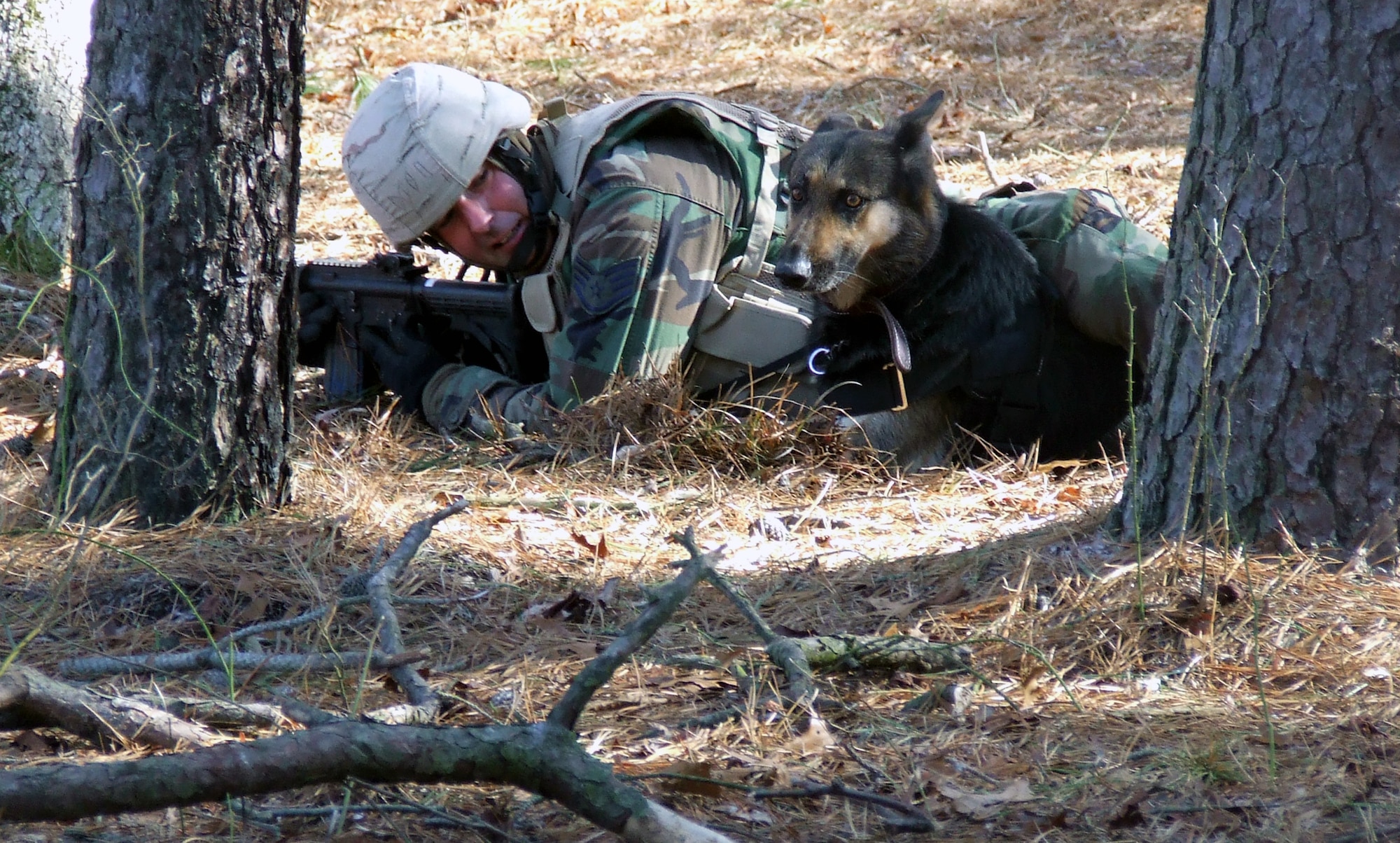 Staff Sgt. Christopher Dion and his military working dog Dena participate in an obstacle course on a range on Fort Dix, N.J., Feb. 14 as part of training as students in the Air Force Phoenix Warrior Course 08-3 K-9 track.  The course is taught by the U.S. Air Force Expeditionary Center's Expeditionary Operations School and 421st Combat Training Squadron and prepares security forces for upcoming deployments.  Sergeant Dion and Dena are from the 6th Security Forces Squadron at MacDill Air Force Base, Fla.  (U.S. Air Force Photo/Tech. Sgt. Scott T. Sturkol)