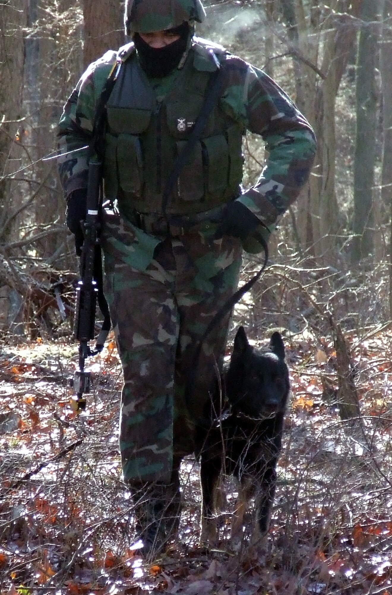 Staff Sgt. Ramon Alexander and his military working dog Waldo participate in an obstacle course on a range on Fort Dix, N.J., Feb. 14 as part of training as students in the Air Force Phoenix Warrior Course 08-3 K-9 track.  The course is taught by the U.S. Air Force Expeditionary Center's Expeditionary Operations School and 421st Combat Training Squadron and prepares security forces for upcoming deployments.  Sergeant Alexander and Waldo are from the 437th Security Forces Squadron at Charleston Air Force Base, S.C.  (U.S. Air Force Photo/Tech. Sgt. Scott T. Sturkol)