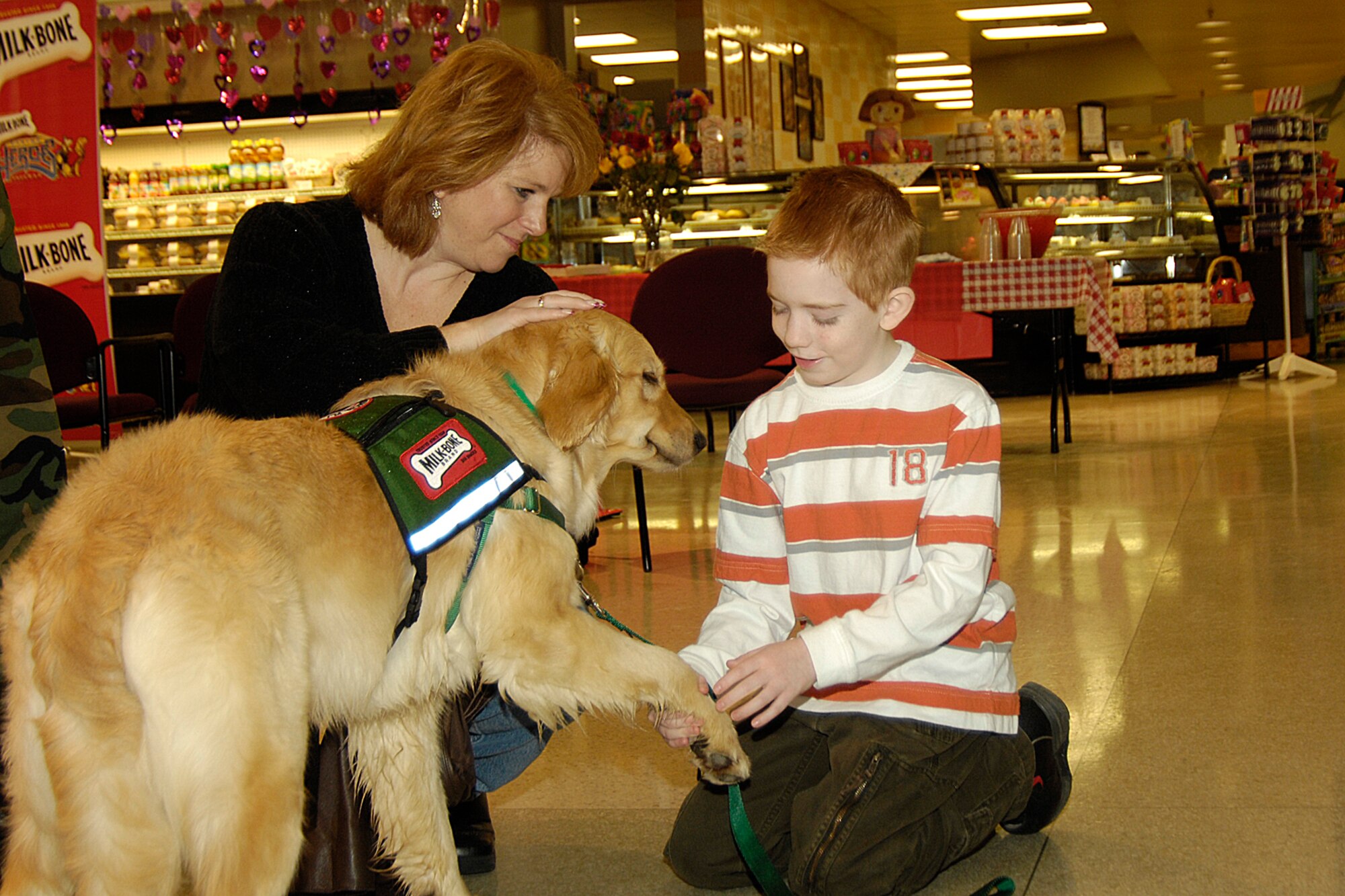 HANSCOM AFB, Mass. – Jacob Larwood, 10, son of Tech Sgt. Rob and Tracy Larwood, was selected to receive a Canine Assistant Service dog as part of the Milk-Bone Canine Heroes ProgramTM. Pictured here Jacob (right) along with his mother, Tracy (left), meet Fay, a 2-year old Golden Retriever, at a special donation ceremony at the Base Commissary on Feb 13. Jacob who has epilepsy was selected to receive a service dog, like Fay, to help him live more independently. Jacob will attend a Canine Assistants training camp at a later date where his service dog will be selected and trained to meet his specific needs. (U.S. Air Force photo by Linda Labonte-Britt)
