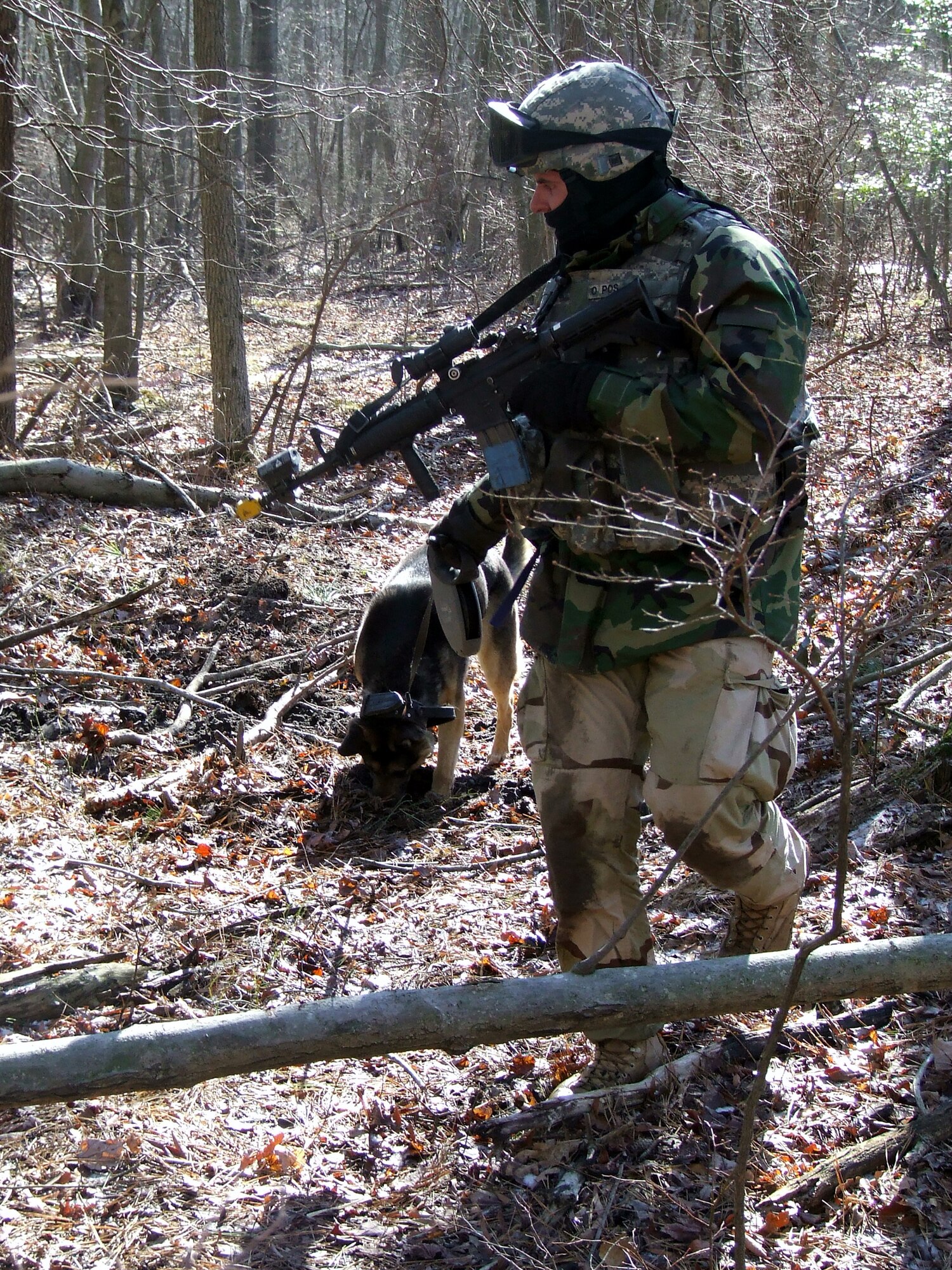Staff Sgt. Dmitriy Skylar and his military working dog Rocki participate in an obstacle course on a range on Fort Dix, N.J., Feb. 14, 2008, as part of training as students in the Air Force Phoenix Warrior Course 08-3 K-9 track.  The course is taught by the U.S. Air Force Expeditionary Center's Expeditionary Operations School and 421st Combat Training Squadron and prepares security forces for upcoming deployments.  Sergeant Williams and Jago are from the 305th Security Forces Squadron at McGuire Air Force Base, N.J.  (U.S. Air Force Photo/Tech. Sgt. Scott T. Sturkol)