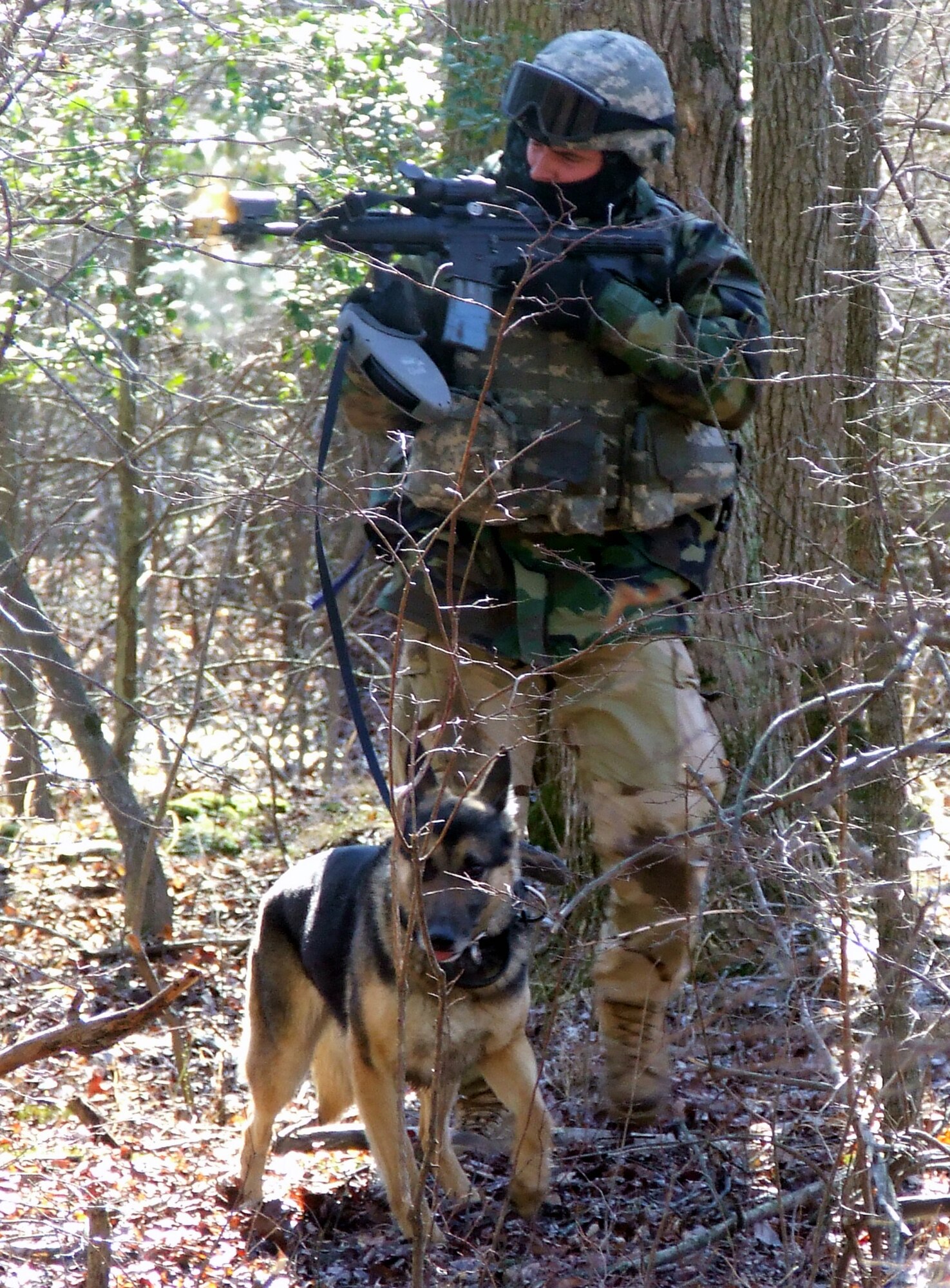 Staff Sgt. Dmitriy Skylar and his military working dog Rocki participate in an obstacle course on a range on Fort Dix, N.J., Feb. 14, 2008, as part of training as students in the Air Force Phoenix Warrior Course 08-3 K-9 track.  The course is taught by the U.S. Air Force Expeditionary Center's Expeditionary Operations School and 421st Combat Training Squadron and prepares security forces for upcoming deployments.  Sergeant Williams and Jago are from the 305th Security Forces Squadron at McGuire Air Force Base, N.J.  (U.S. Air Force Photo/Tech. Sgt. Scott T. Sturkol)