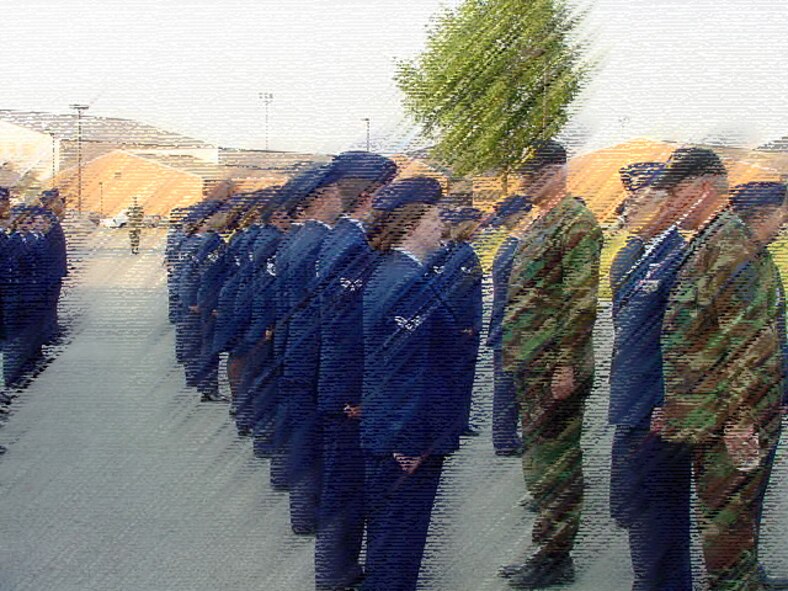 An open ranks inspection was done on a summer day in 2002 by the commander of the 932nd Airlift Wing back then, Col. Oral Carper.  Assisting were the commander of the Medical Group, Col. Roger Wujek, and the 932nd Airlift Wing Command Chief Master Sgt. Merle Lyman.  Artwork rendering from 932 AW/PA.