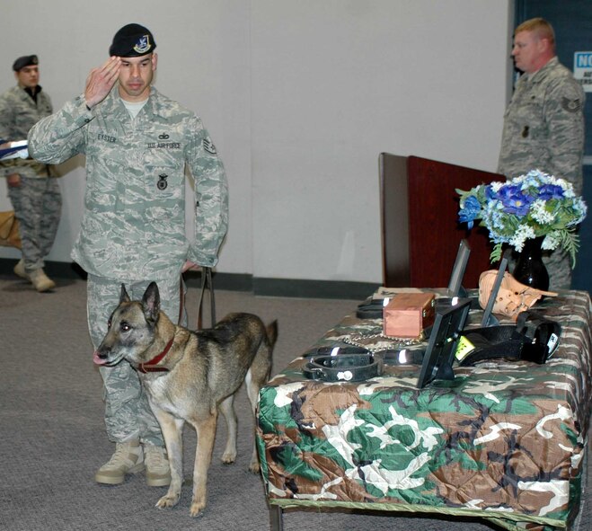 Military Working Dog Arko served with the 60th Security Forces Squadron for almost seven years as an explosive detector and patrol dog helping provide a secure operating environment for Team Travis and various deployed locations. (U.S. Air Force photo) 
