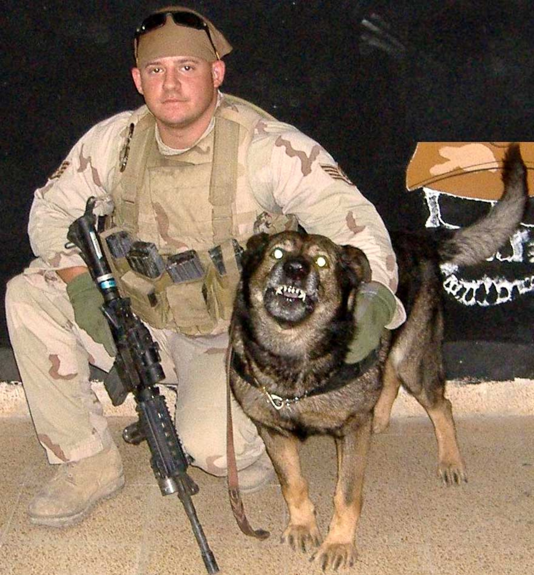 Military Working Dog Arko served with the 60th Security Forces Squadron for almost 7 years as an explosive detector and patrol dog helping provide a secure operating environment for Team Travis and various deployed locations.  (U.S. Air Force photo)