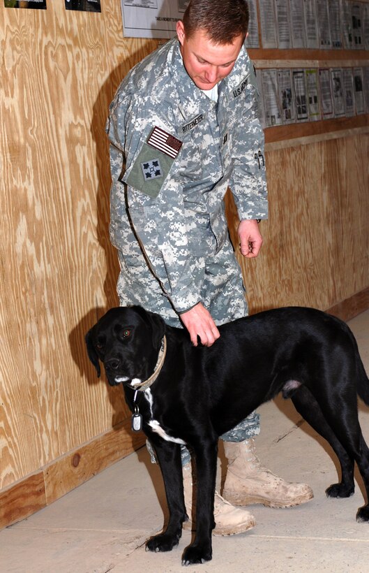 Dean, the battalion therapy dog, leans in for a good petting Feb. 16, 2008, from Army Capt. Phillip Rittermeyer, a chaplain with 64th Brigade Support Battalion, 3rd Brigade Combat Team, 4th Infantry Division, Multinational Division Baghdad, at Camp Taji, Iraq. Rittermeyer adopted Dean, who is 3 years old, from a shelter shortly before the brigade deployed to Iraq. Photo by Pfc. April Campbell, USA