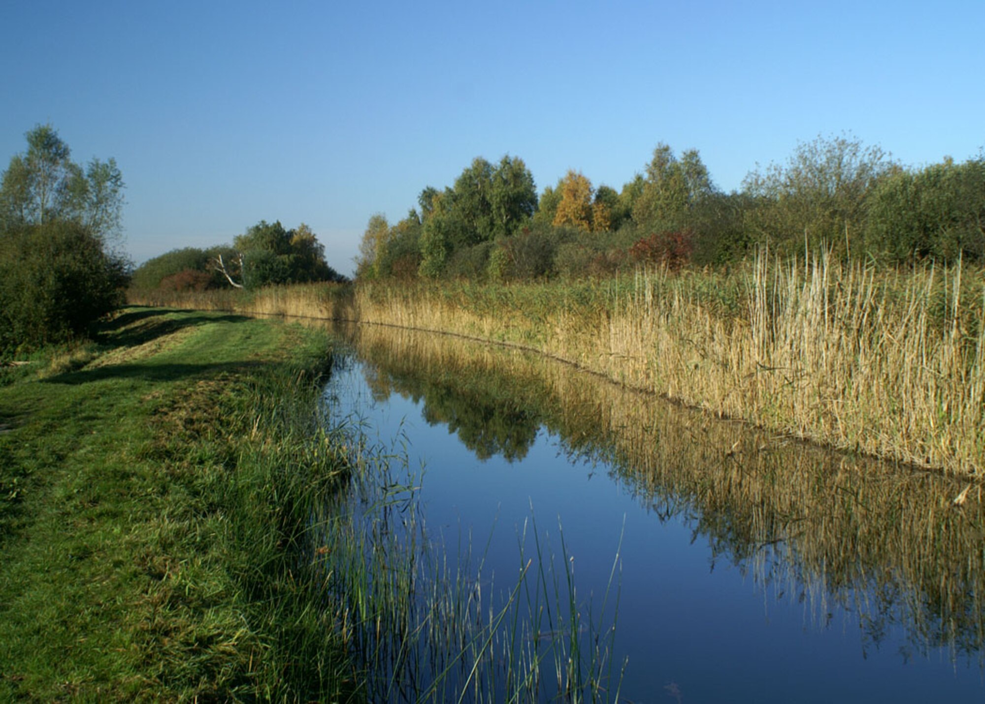 Wicken Fen National Nature Reserve near the Cambridge - Suffolk border, is one of the few pieces of Sedge Fen remaining in England. (U.S. Air Force photo by Judith Wakelam)