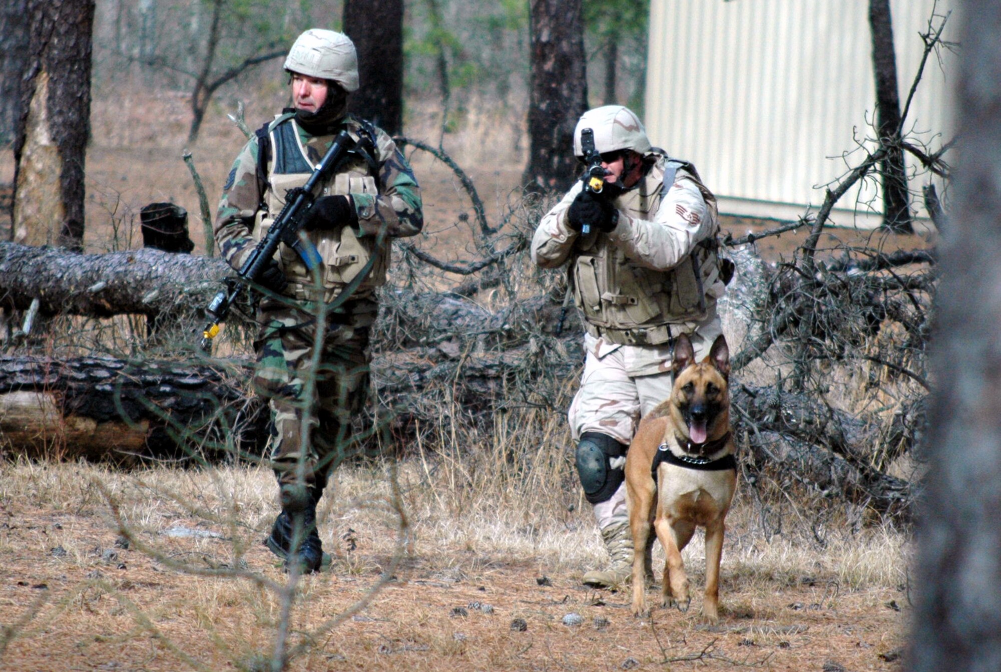 Staff Sgt. Robert Lewis and his military working dog Rex, along with Staff Sgt. Christopher Dion, participate in a dismounted patrol scenario on a range on Fort Dix, N.J., Feb. 20, 2008, as part of training as students in the Air Force Phoenix Warrior Course 08-3 K-9 track.  The course is taught by the U.S. Air Force Expeditionary Center's Expeditionary Operations School and 421st Combat Training Squadron and prepares security forces for upcoming deployments.  Sergeants Lewis and Dion and Rex are from the 6th Security Forces Squadron at MacDill Air Force Base, Fla.  (U.S. Air Force Photo/Tech. Sgt. Scott T. Sturkol)