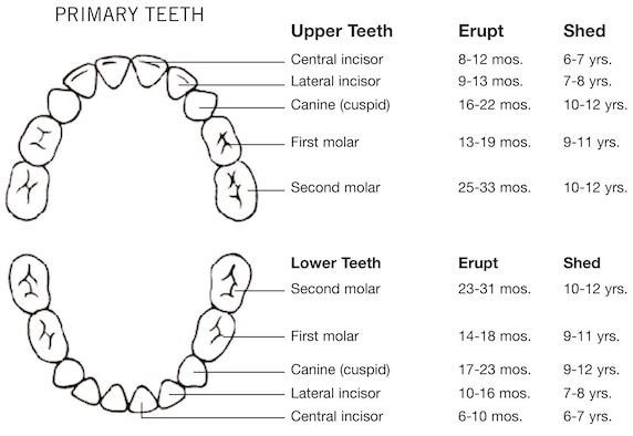 no-those-aren-t-temporary-teeth-vance-air-force-base-news