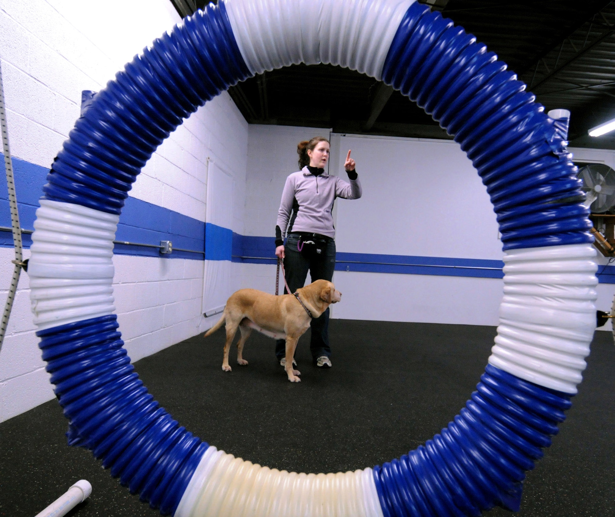 First Lt. Heather Greatting scouts out an obstacle course during agility training Feb. 11 with Zoey, her 9-year-old Labrador retriever.  The lieutenant is a space intelligence surveillance and reconnaissance systems employment analyst with the National Air and Space Intelligence Center at Wright-Patterson Air Force Base, Ohio. (U.S. Air Force photo/Staff Sgt. Joshua Strang) 