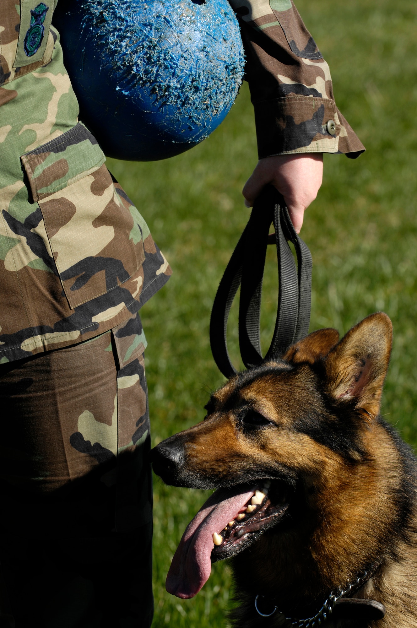 VANDENBERG AIR FORCE BASE, Calif. -- Senior Airman Shawna Richards, a entry controller with the 30th Security Forces Squadron, trains her military working dog, Baiky,on Feb. 26. Security forces train their bomb and drug sniffing dogs to seek out illegal items and potential threats. Handlers prepare the dogs for duty using obstacles designed to simulate real scenarios. Military working dogs have been used by the U.S. armed forces since World War I. (U.S. Air Force photo/Airman 1st Class Christian Thomas)



